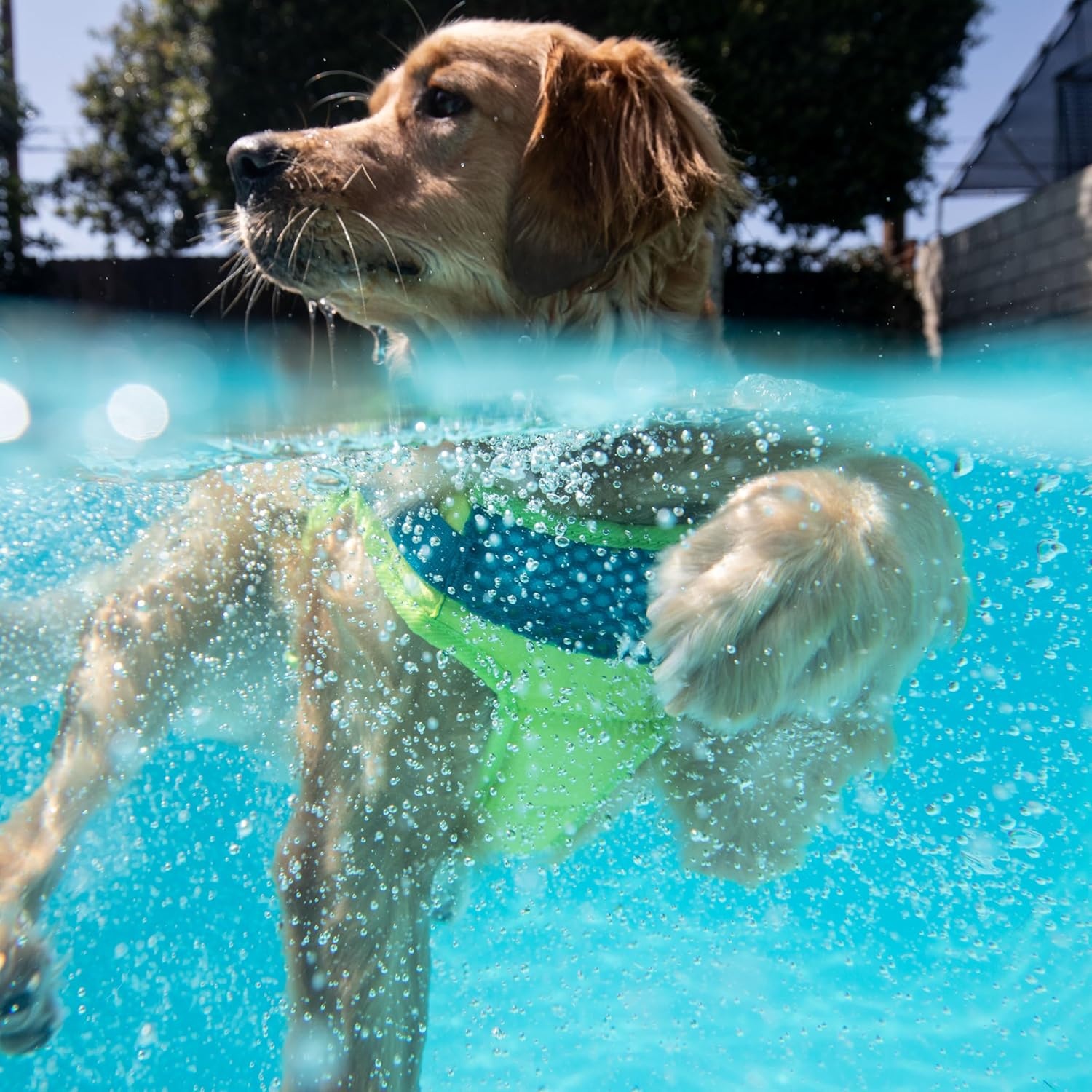 image:imageOutward Hound Dawson Swim Green Dog Life Jacket MediumGreen Standley