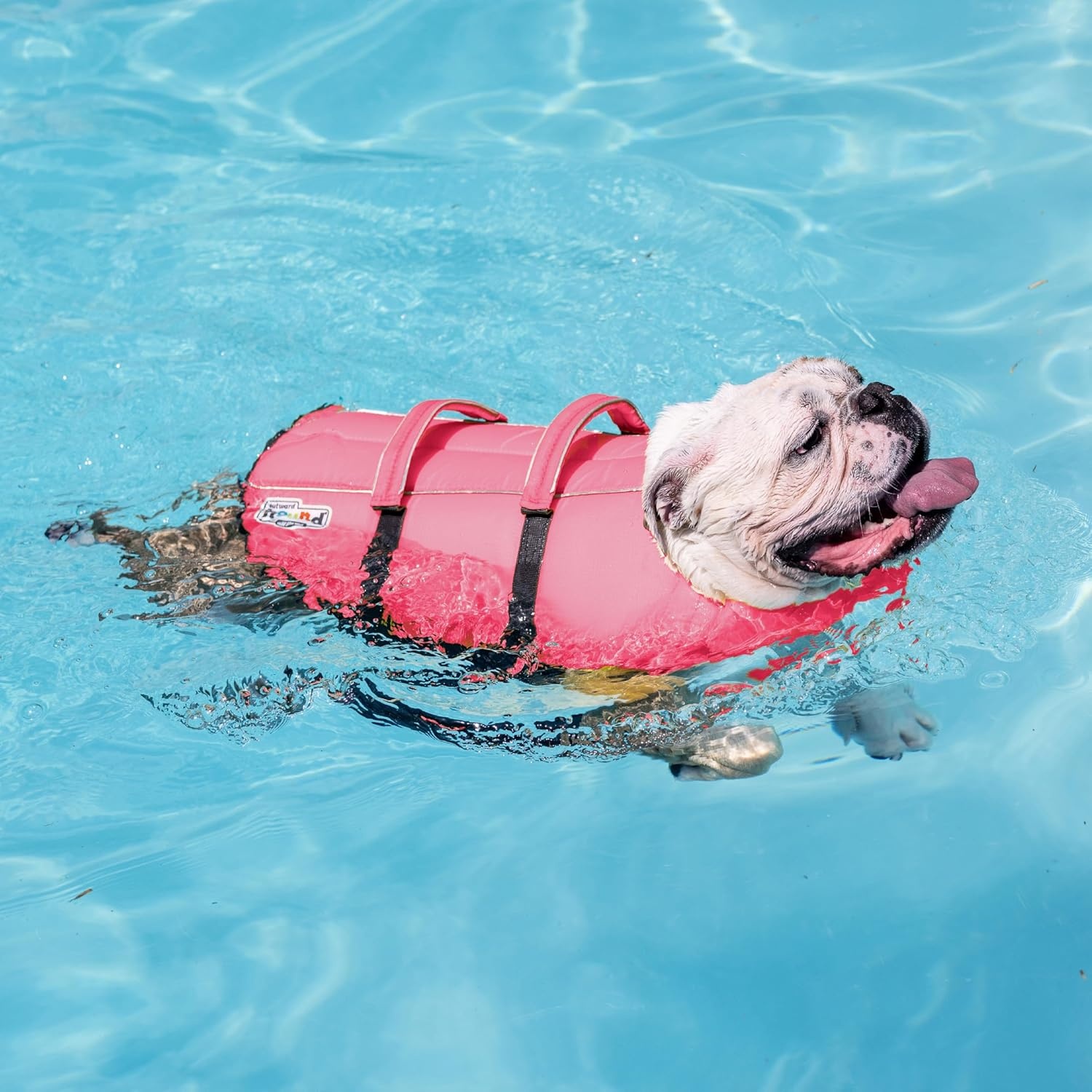 image:imageOutward Hound Dawson Swim Green Dog Life Jacket MediumPink