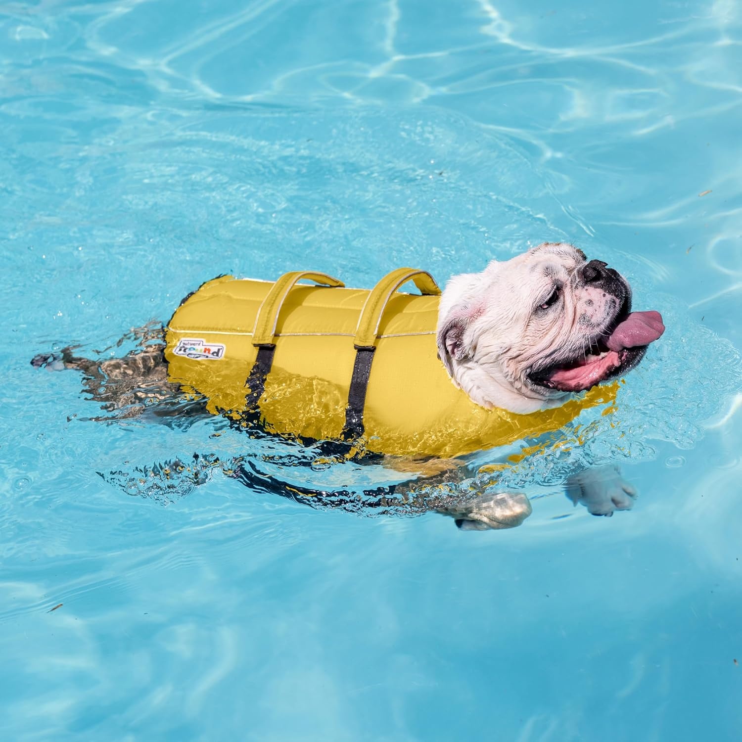 image:imageOutward Hound Dawson Swim Green Dog Life Jacket MediumYellow