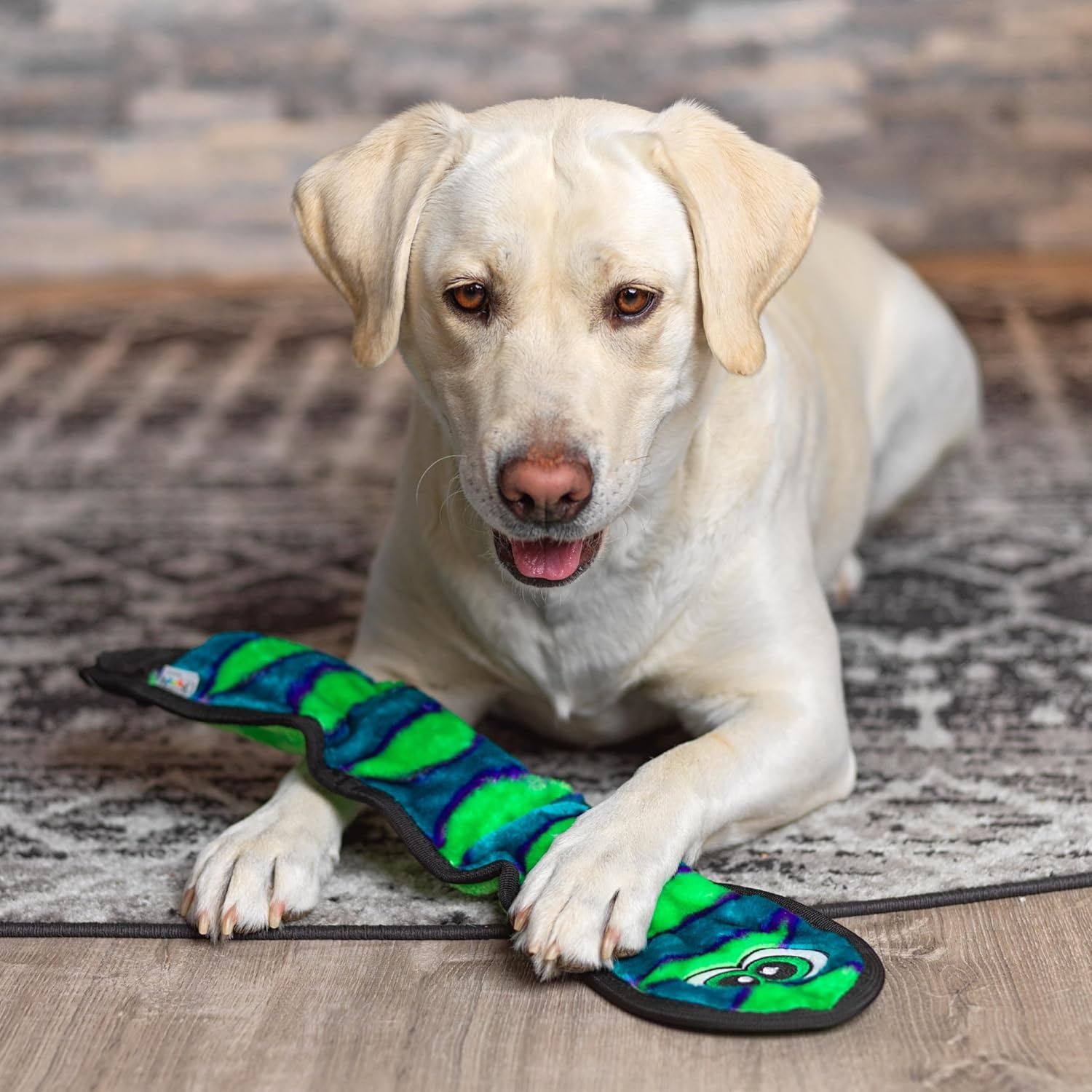 image:imageOutward Hound Durablez Gecko Squeaky Plush Dog Toy No Stuffing for Less Mess Interactive amp Tough 4 Jumbo Squeakers Puppies amp Dogs Large 175Blue Snake