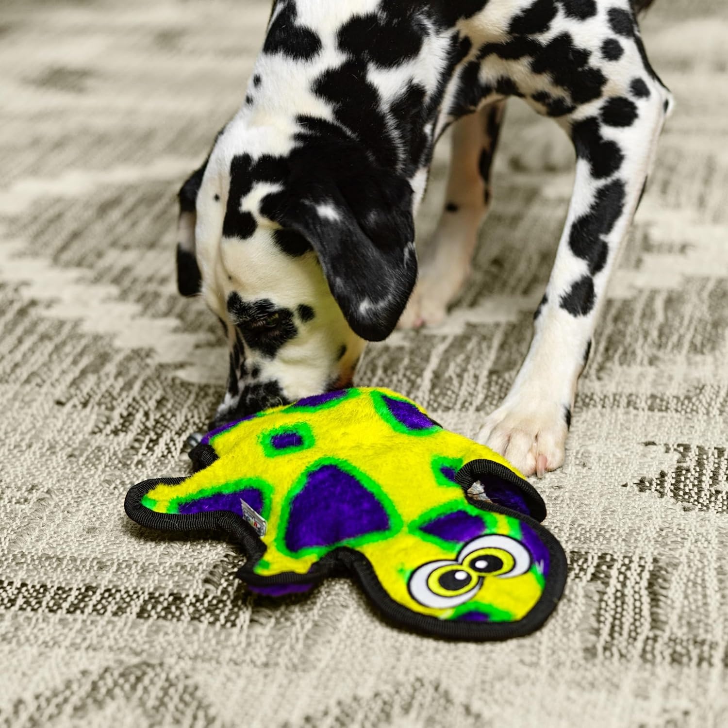image:imageOutward Hound Durablez Gecko Squeaky Plush Dog Toy No Stuffing for Less Mess Interactive amp Tough 4 Jumbo Squeakers Puppies amp Dogs Large 175Green Gecko