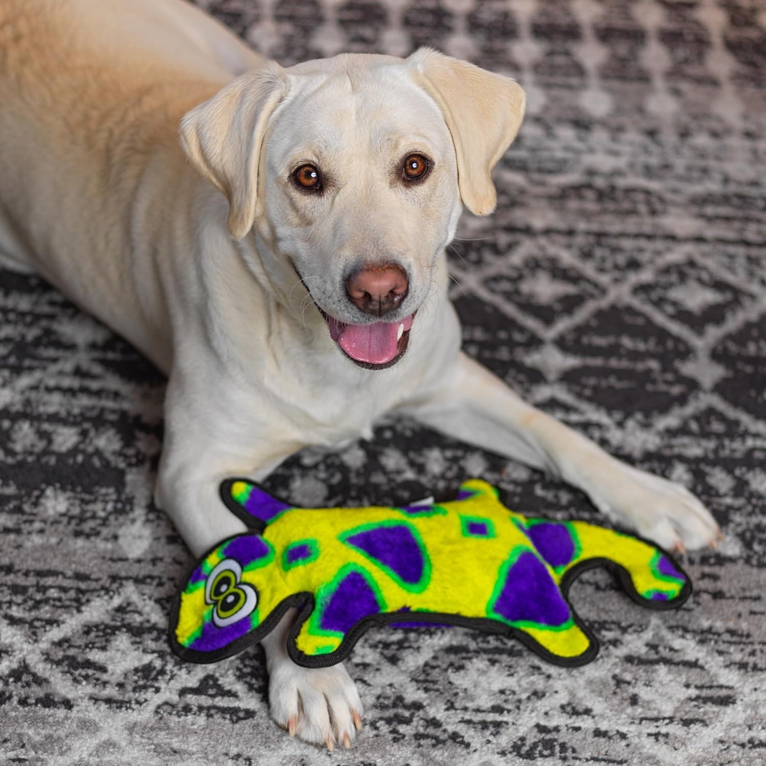 image:imageOutward Hound Durablez Gecko Squeaky Plush Dog Toy No Stuffing for Less Mess Interactive amp Tough 4 Jumbo Squeakers Puppies amp Dogs Large 175Green Gecko