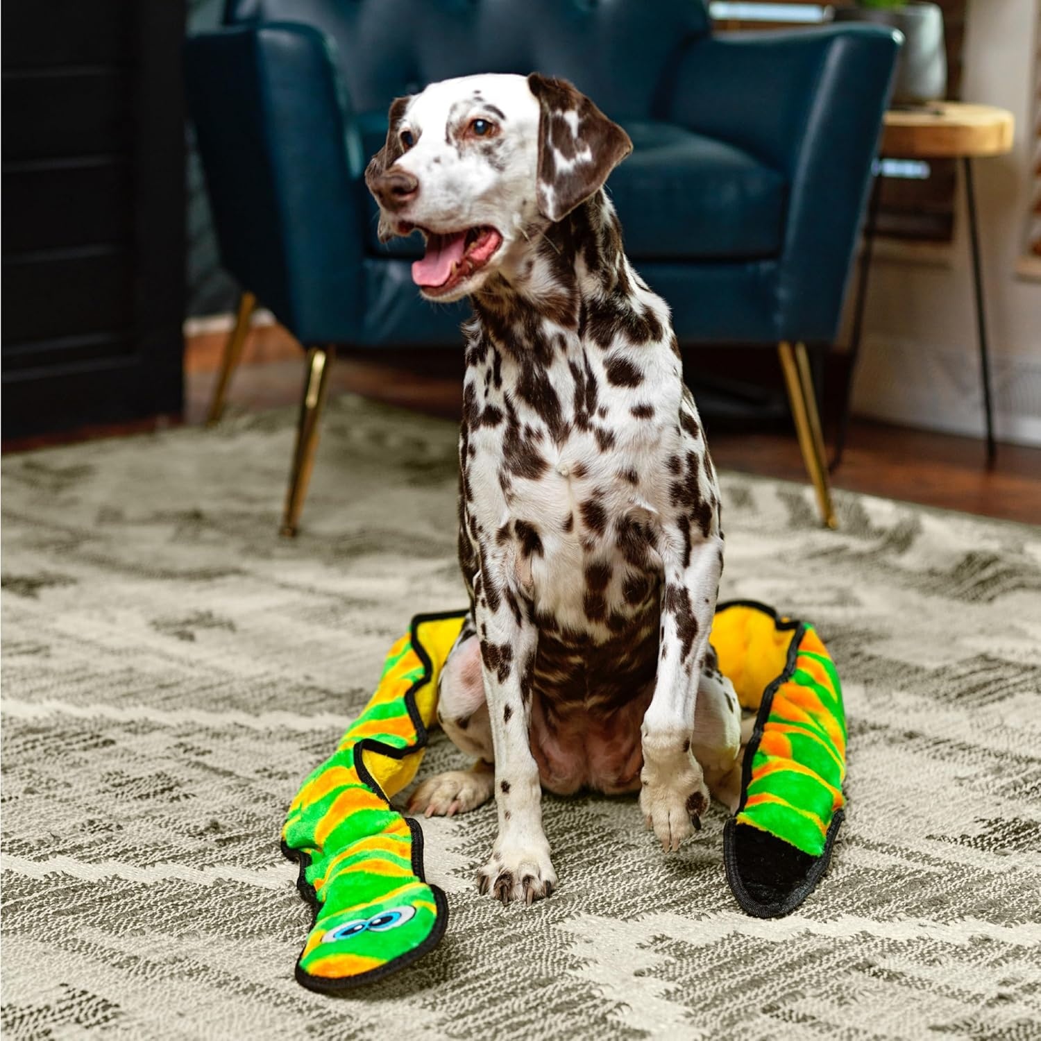 image:imageOutward Hound Durablez Gecko Squeaky Plush Dog Toy No Stuffing for Less Mess Interactive amp Tough 4 Jumbo Squeakers Puppies amp Dogs Large 175Green Snake