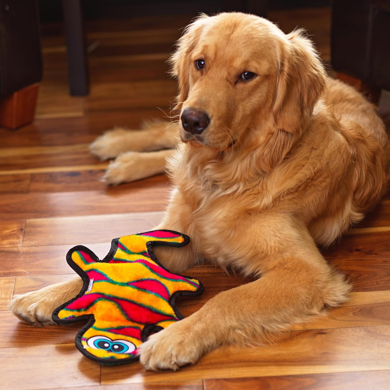 image:imageOutward Hound Durablez Gecko Squeaky Plush Dog Toy No Stuffing for Less Mess Interactive amp Tough 4 Jumbo Squeakers Puppies amp Dogs Large 175Orange Gecko