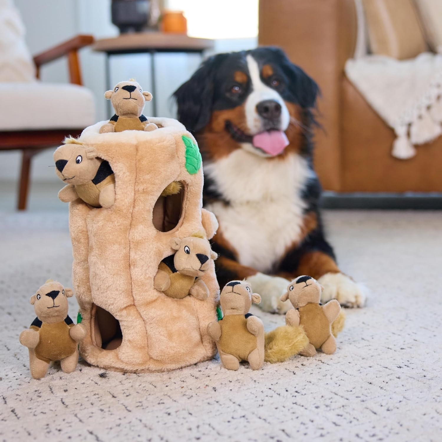 image:imageOutward Hound HideASquirrel Dog Toy Interactive 2in1 Plush Puzzle with 6 Squeaky Removable Squirrels XLargeSquirrel