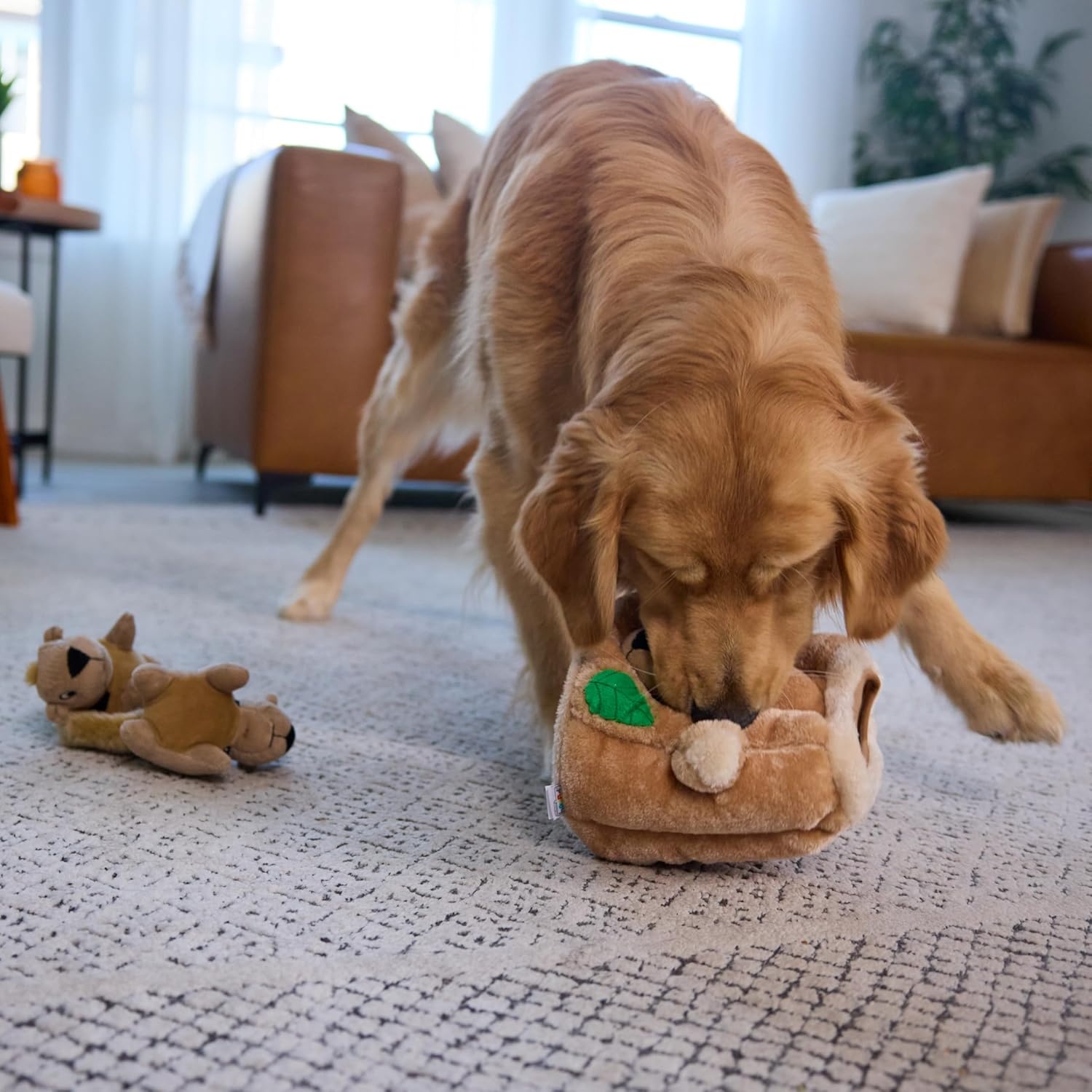 image:imageOutward Hound HideASquirrel Dog Toy Interactive 2in1 Plush Puzzle with 6 Squeaky Removable Squirrels XLargeSquirrel