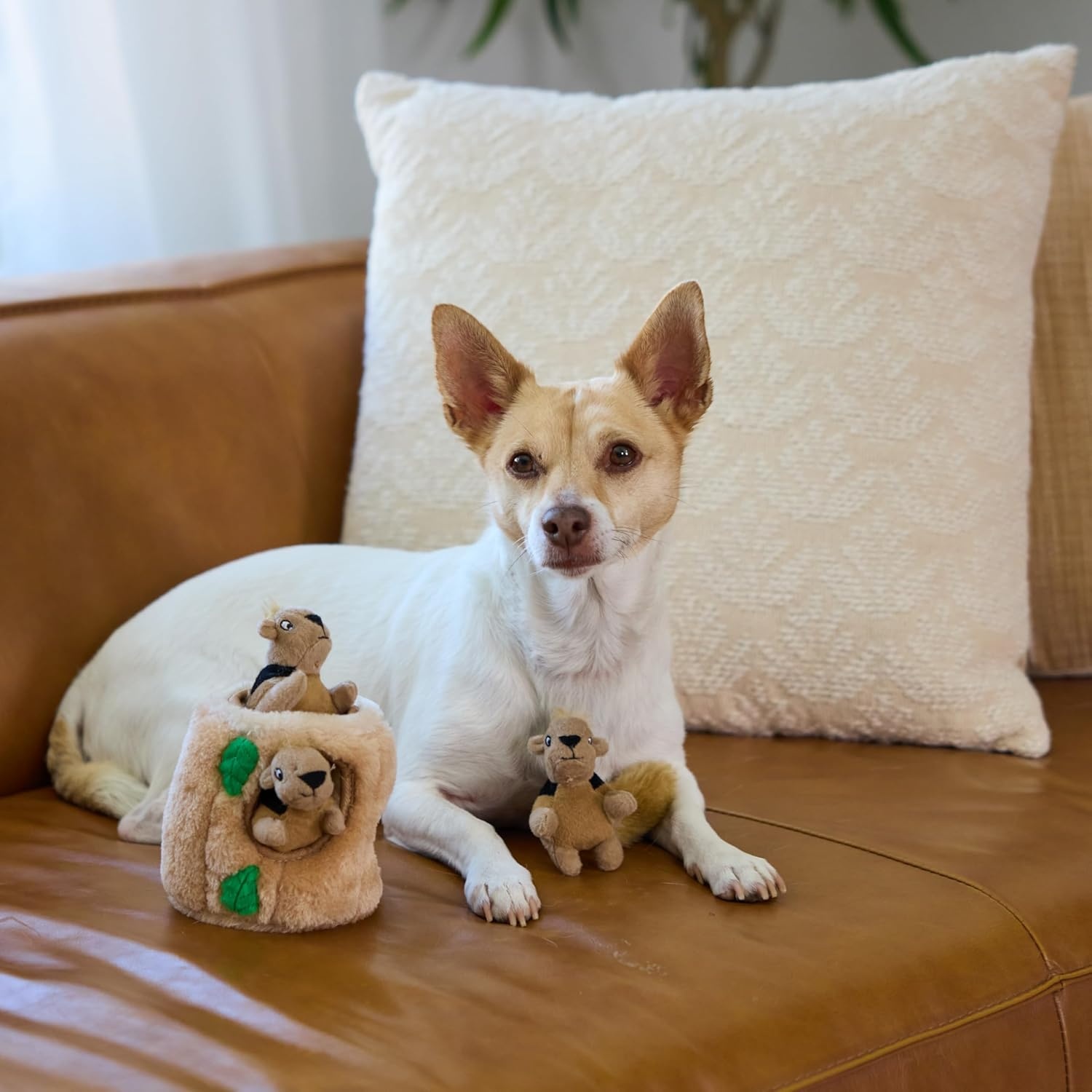 image:imageOutward Hound HideASquirrel Dog Toy Interactive 2in1 Plush Puzzle with 6 Squeaky Removable Squirrels XLargeSquirrel