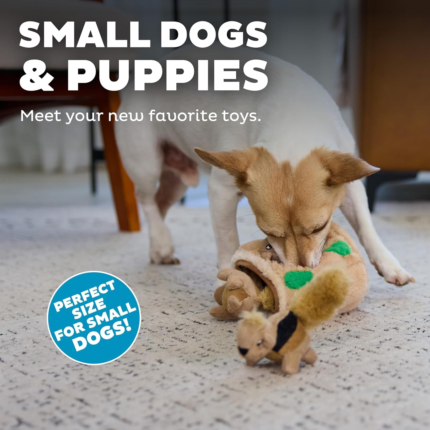 image:imageOutward Hound HideASquirrel Dog Toy Interactive 2in1 Plush Puzzle with 6 Squeaky Removable Squirrels XLargeSquirrel