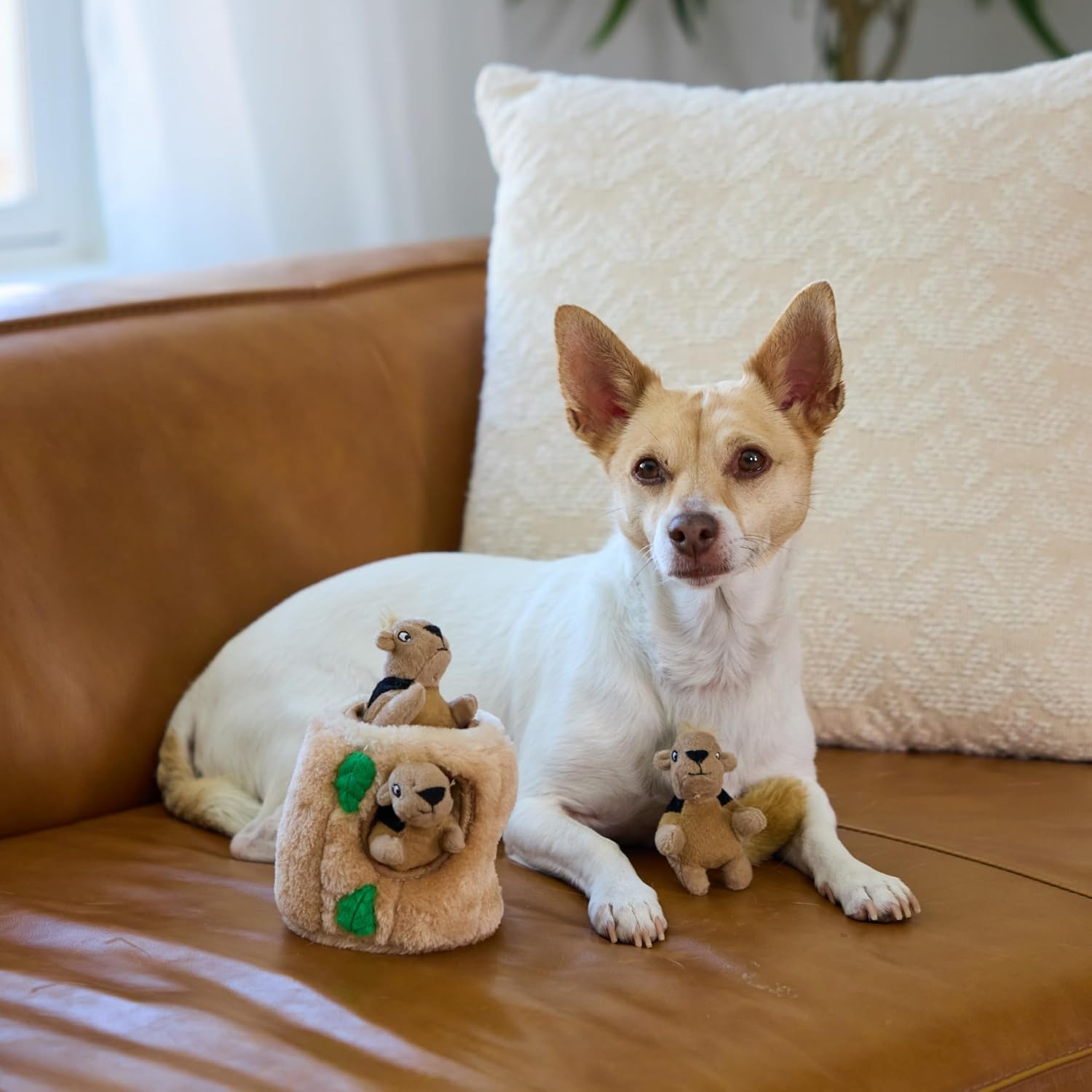 image:imageOutward Hound HideASquirrel Dog Toy Interactive 2in1 Plush Puzzle with 6 Squeaky Removable Squirrels XLargeSquirrel