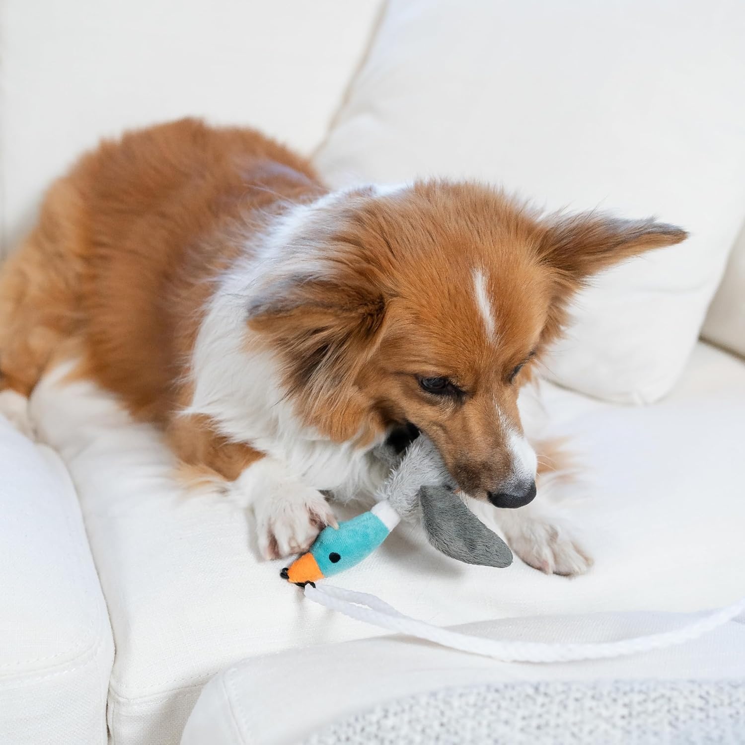 image:imageOutward Hound Tail Teaser Interactive Dog Wand Toy with Squeaky Plush Teaser and Crinkle Sounds for Active Play MulticoloredDuck