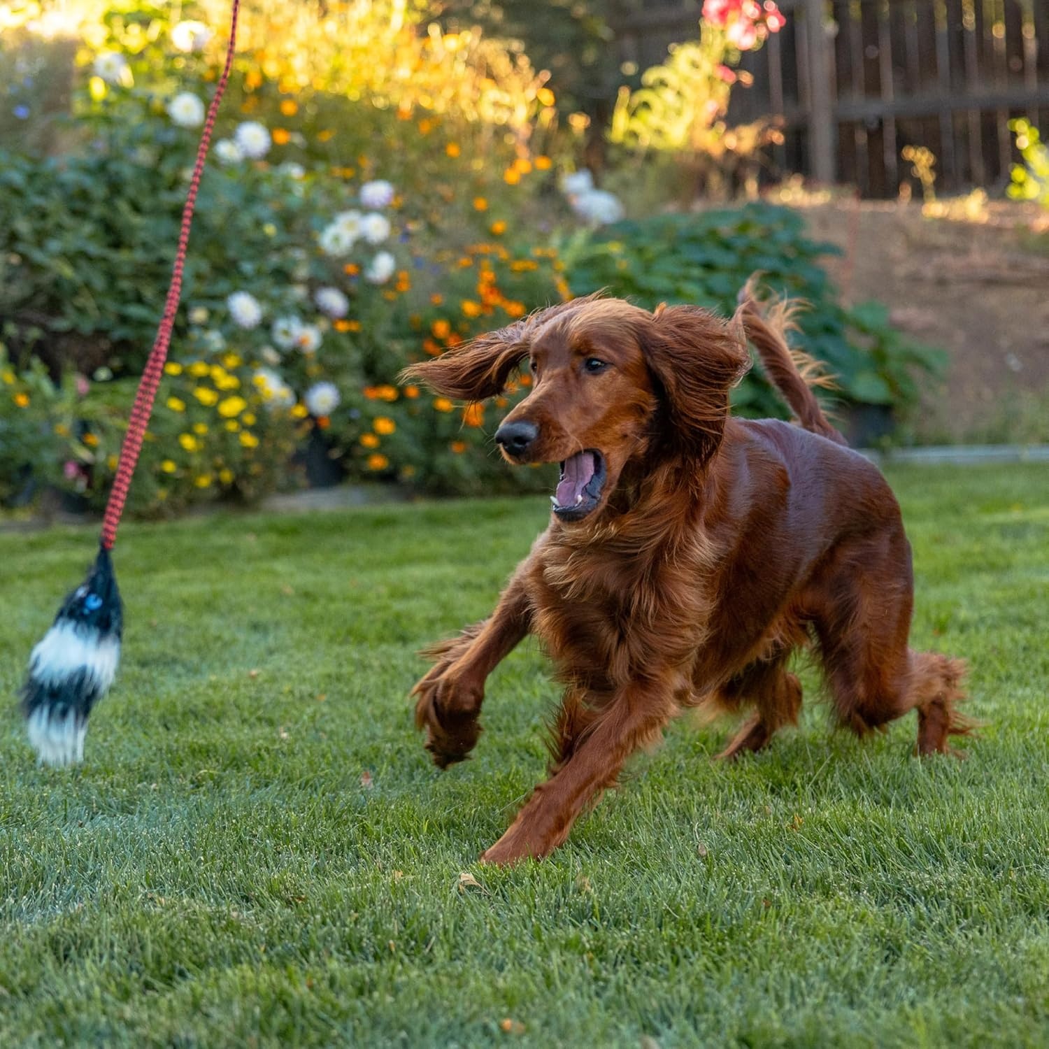 image:imageOutward Hound Tail Teaser Interactive Dog Wand Toy with Squeaky Plush Teaser and Crinkle Sounds for Active Play MulticoloredPlush