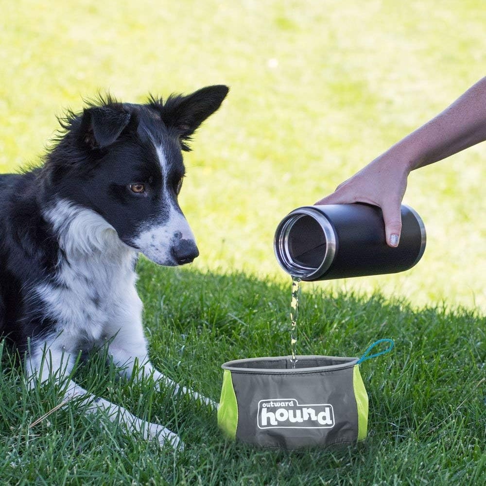 image:imageOutward Hound Treat Tote HandsFree Dog Training PouchPort A Bowl