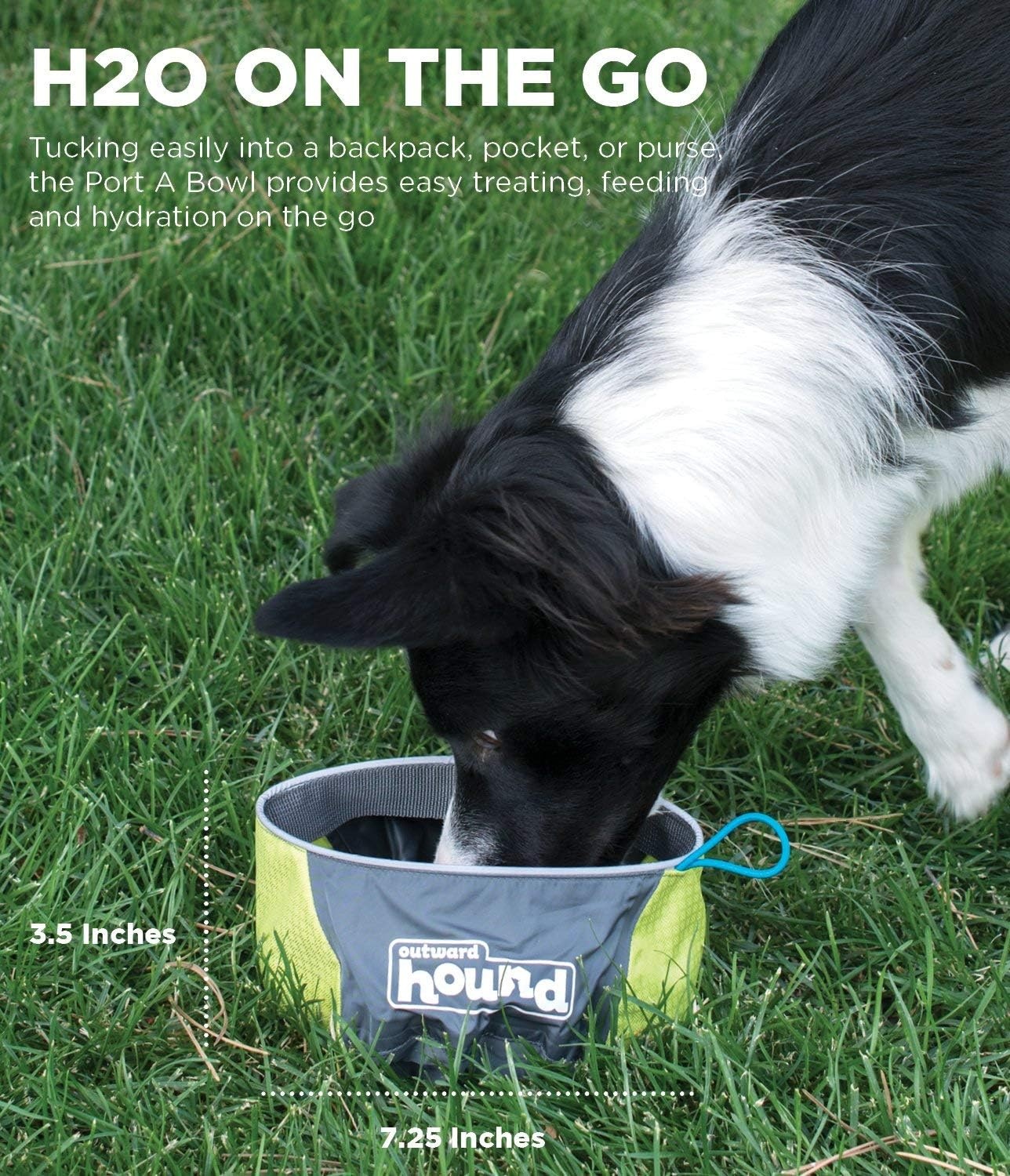 image:imageOutward Hound Treat Tote HandsFree Dog Training PouchPort A Bowl