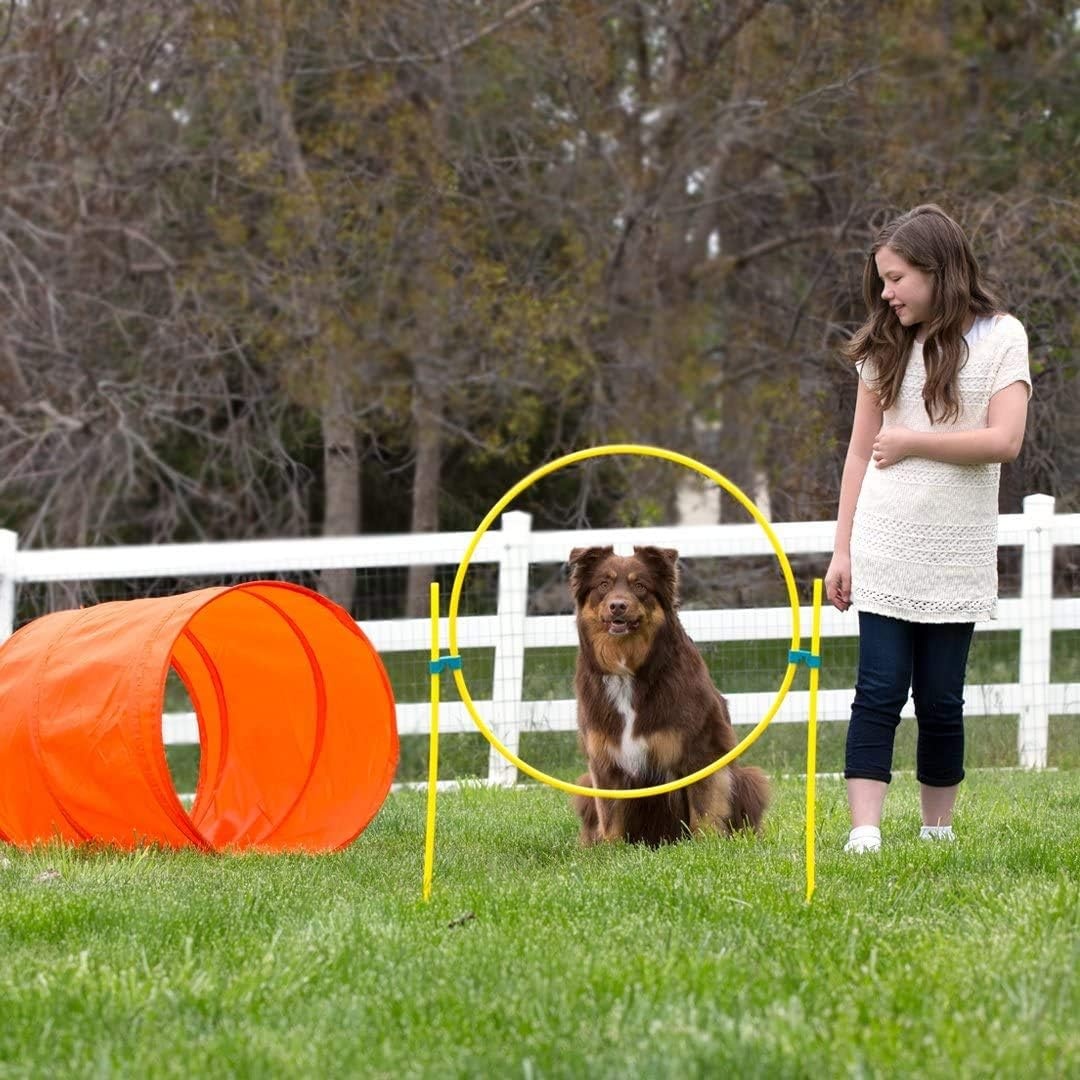 image:imageOutward Hound Zip amp Zoom Indoor Dog Agility Training Kit for DogsOrange