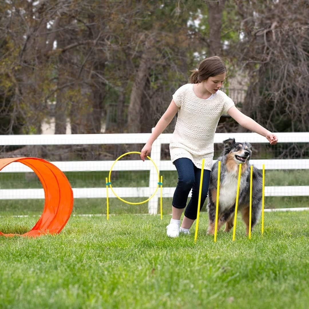 image:imageOutward Hound Zip amp Zoom Indoor Dog Agility Training Kit for DogsOrange