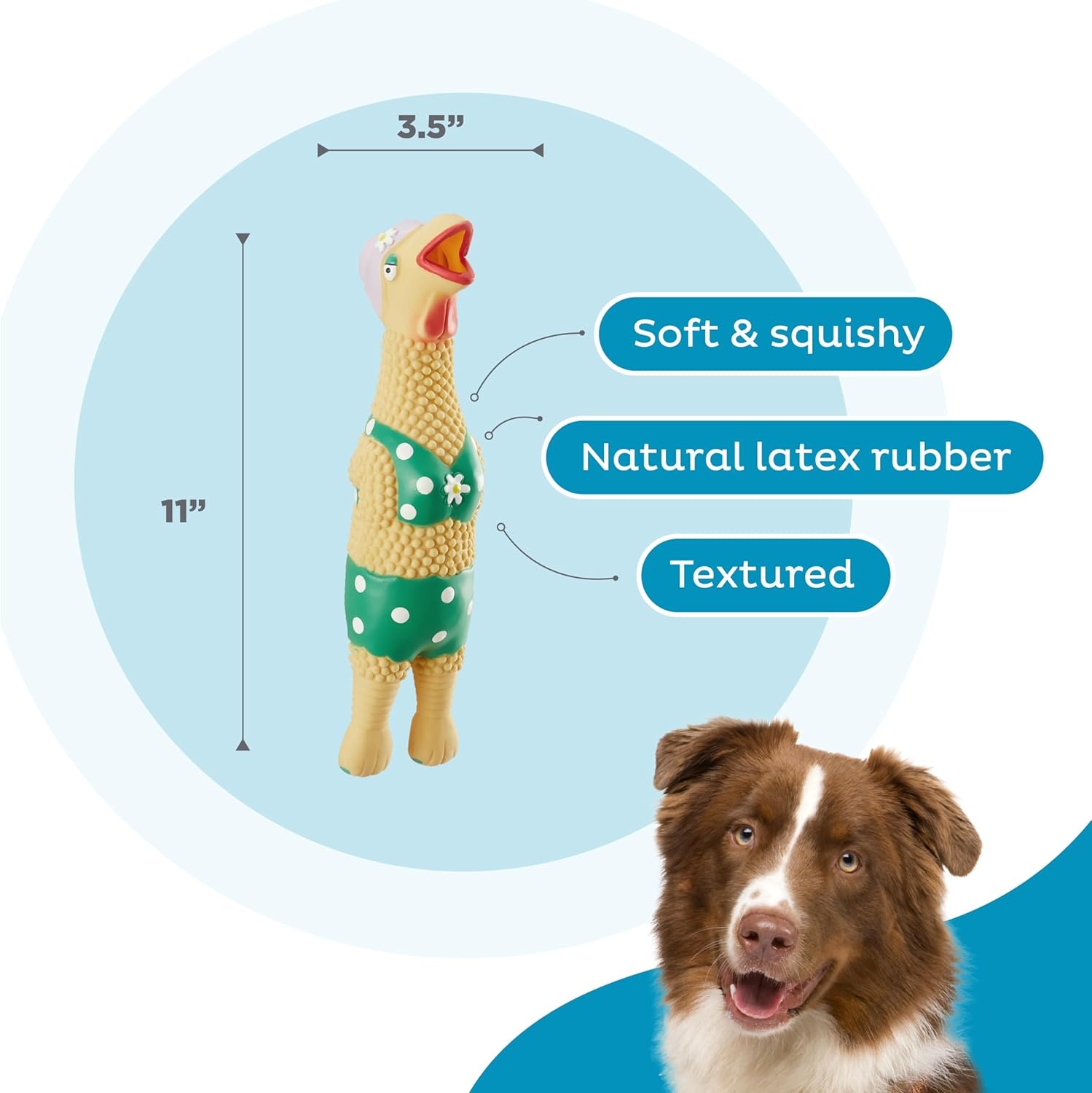 image:imageOutward Hound by Charming Pet Squawkers Earl Latex Squeaky Rubber Chicken Dog Toy Funny Interactive Holiday Toy for Dogs Large SizeGrandma Hippie Chick