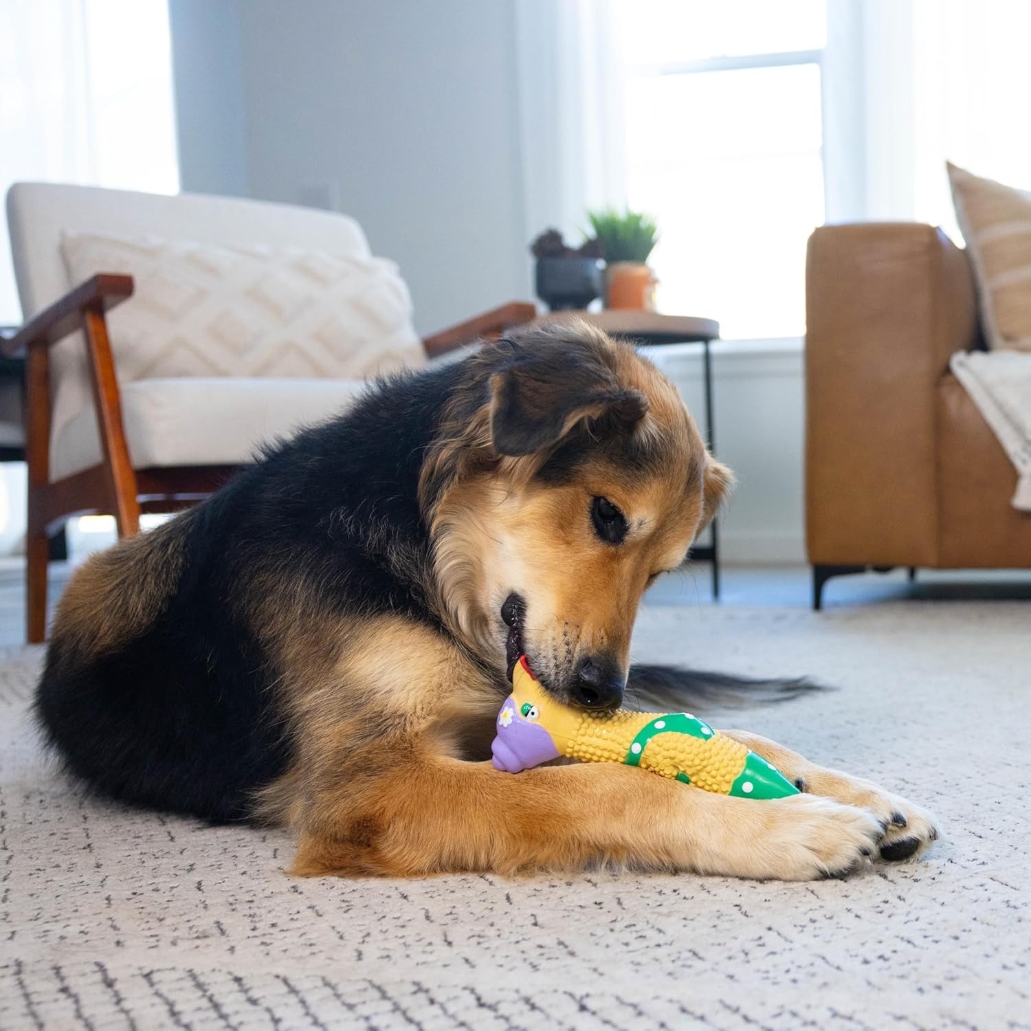 image:imageOutward Hound by Charming Pet Squawkers Earl Latex Squeaky Rubber Chicken Dog Toy Funny Interactive Holiday Toy for Dogs Large SizeGrandma Hippie Chick