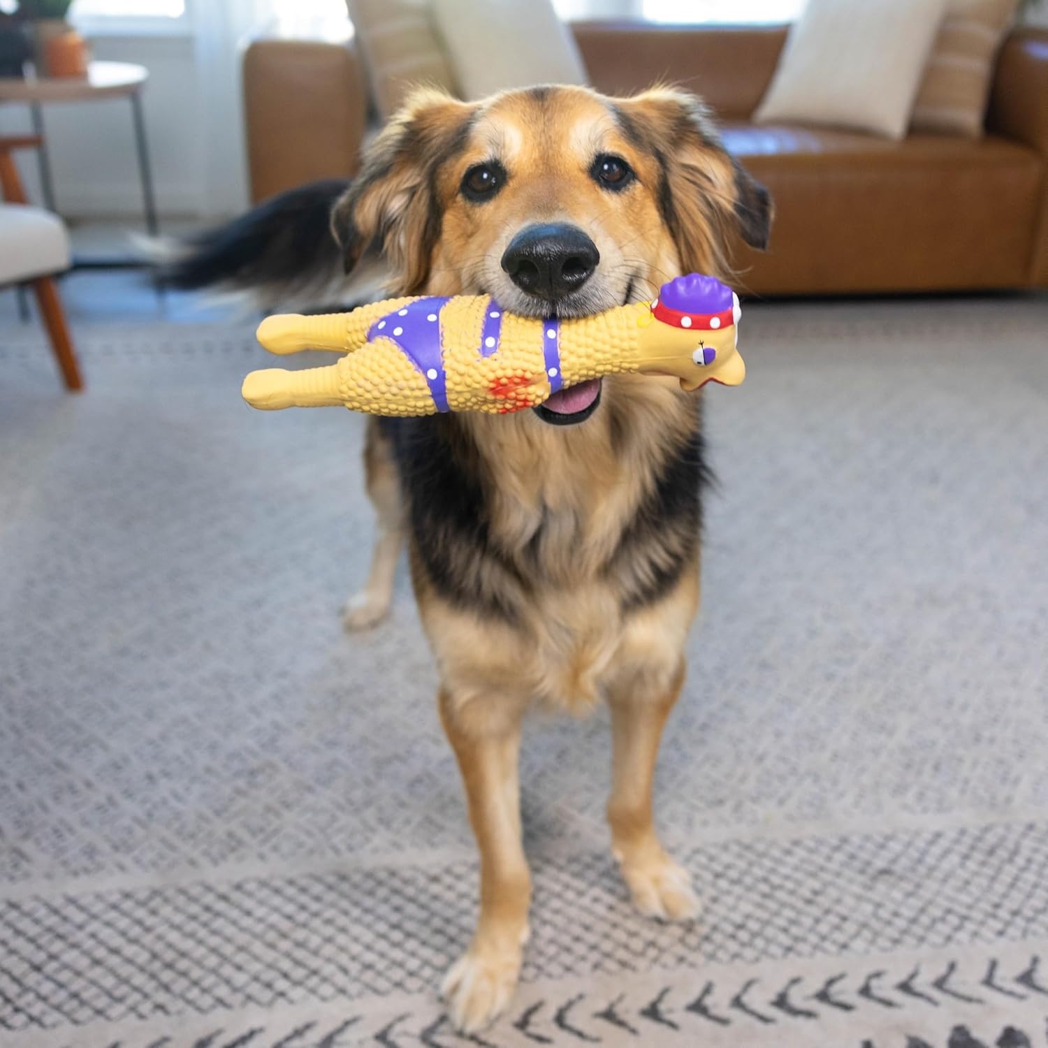 image:imageOutward Hound by Charming Pet Squawkers Earl Latex Squeaky Rubber Chicken Dog Toy Funny Interactive Holiday Toy for Dogs Large SizeHenrietta