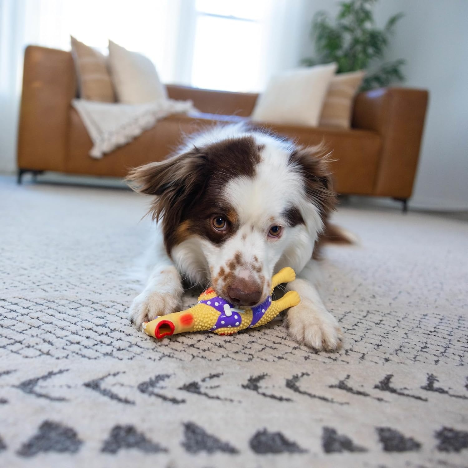 image:imageOutward Hound by Charming Pet Squawkers Earl Latex Squeaky Rubber Chicken Dog Toy Funny Interactive Holiday Toy for Dogs Large SizeHenrietta