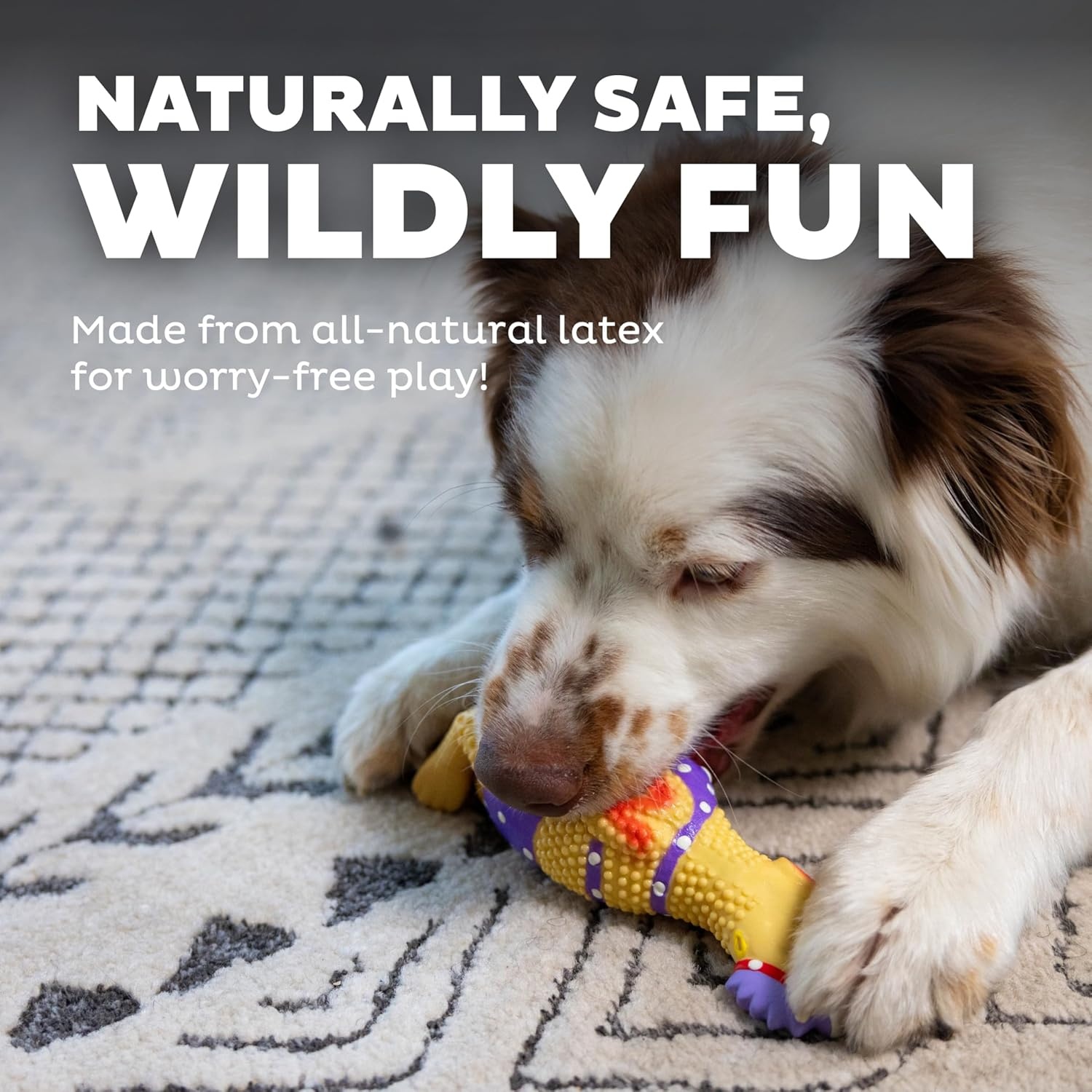 image:imageOutward Hound by Charming Pet Squawkers Earl Latex Squeaky Rubber Chicken Dog Toy Funny Interactive Holiday Toy for Dogs Large SizeHenrietta