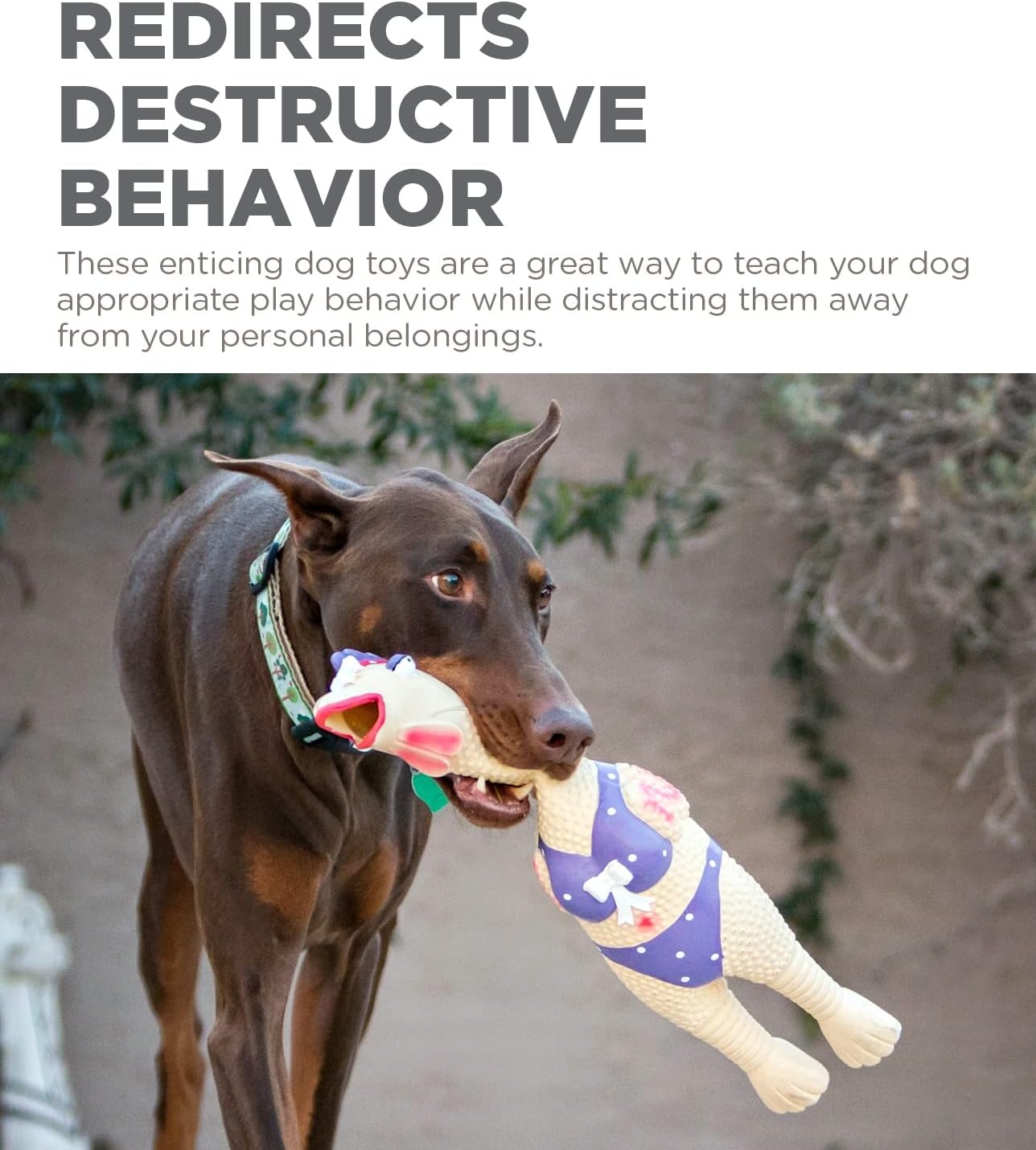 image:imageOutward Hound by Charming Pet Squawkers Earl Latex Squeaky Rubber Chicken Dog Toy Funny Interactive Holiday Toy for Dogs Large SizeHenrietta