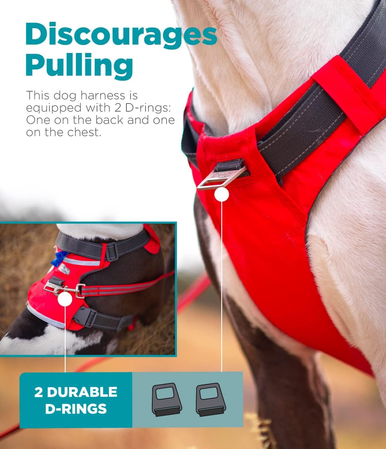 image:imageOutward Hound Boulder Grip Reflective Dog Leash Black 5 ftRed