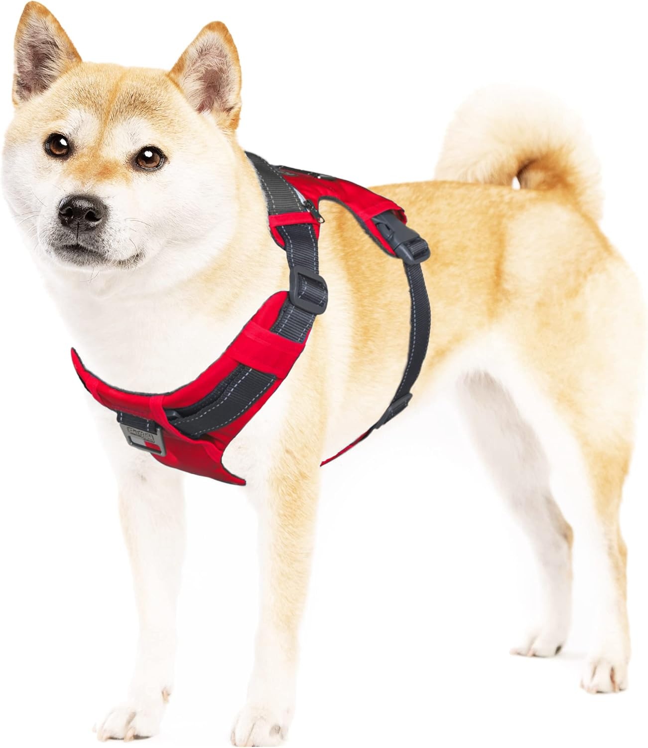 image:imageOutward Hound Boulder Grip Reflective Dog Leash Black 5 ftRed