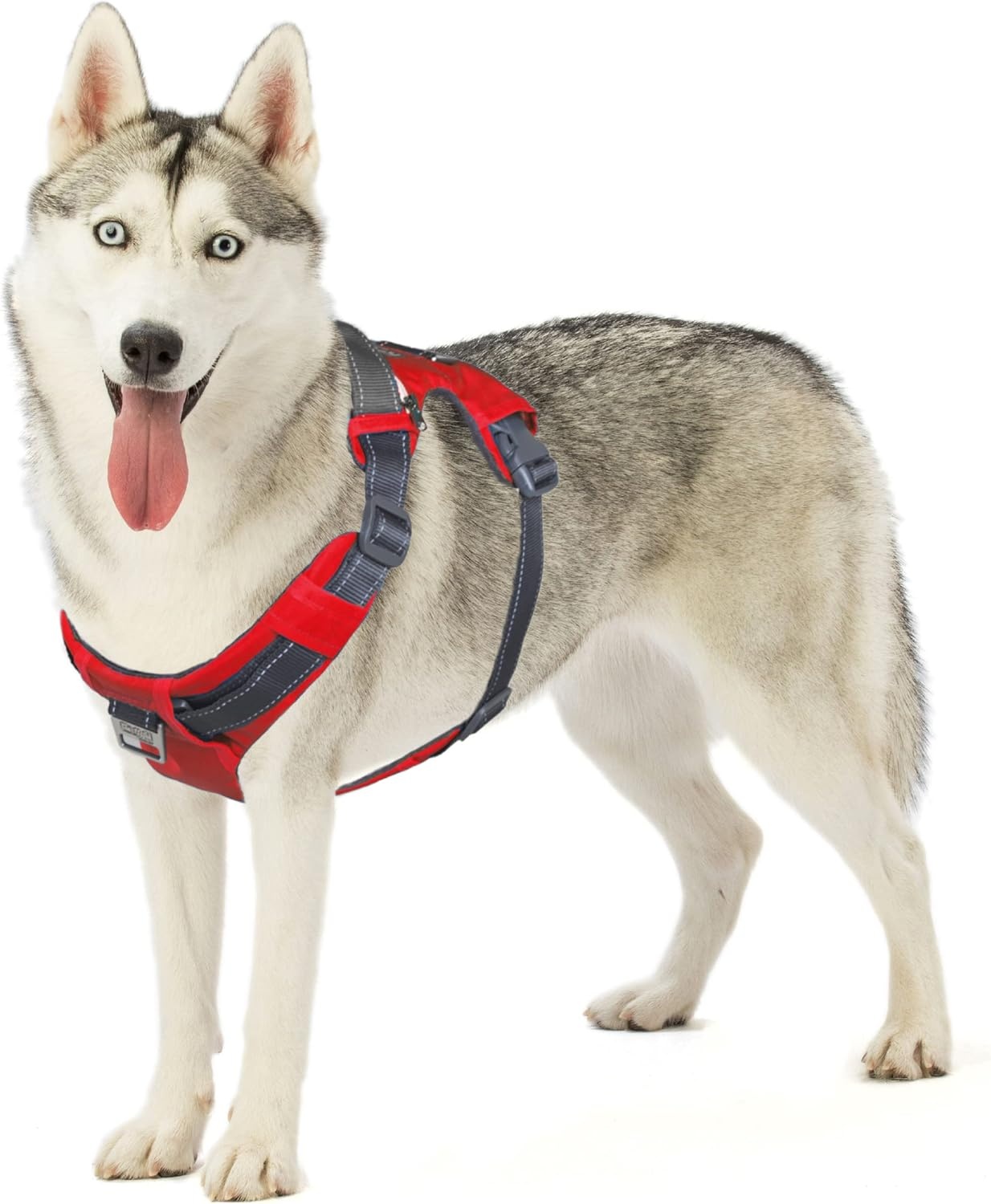 image:imageOutward Hound Boulder Grip Reflective Dog Leash Black 5 ftRed