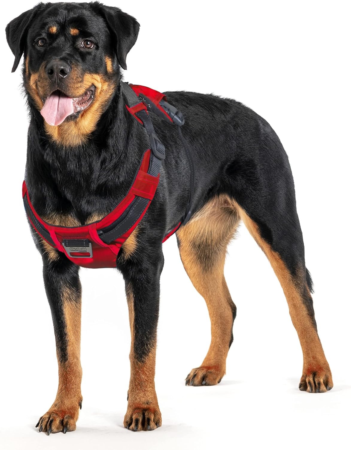 image:imageOutward Hound Boulder Grip Reflective Dog Leash Black 5 ftRed