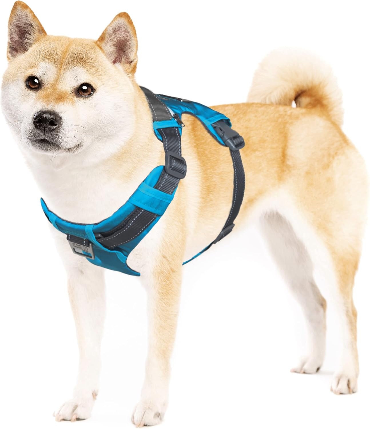 image:imageOutward Hound Boulder Grip Reflective Dog Leash Black 5 ftTurquoise