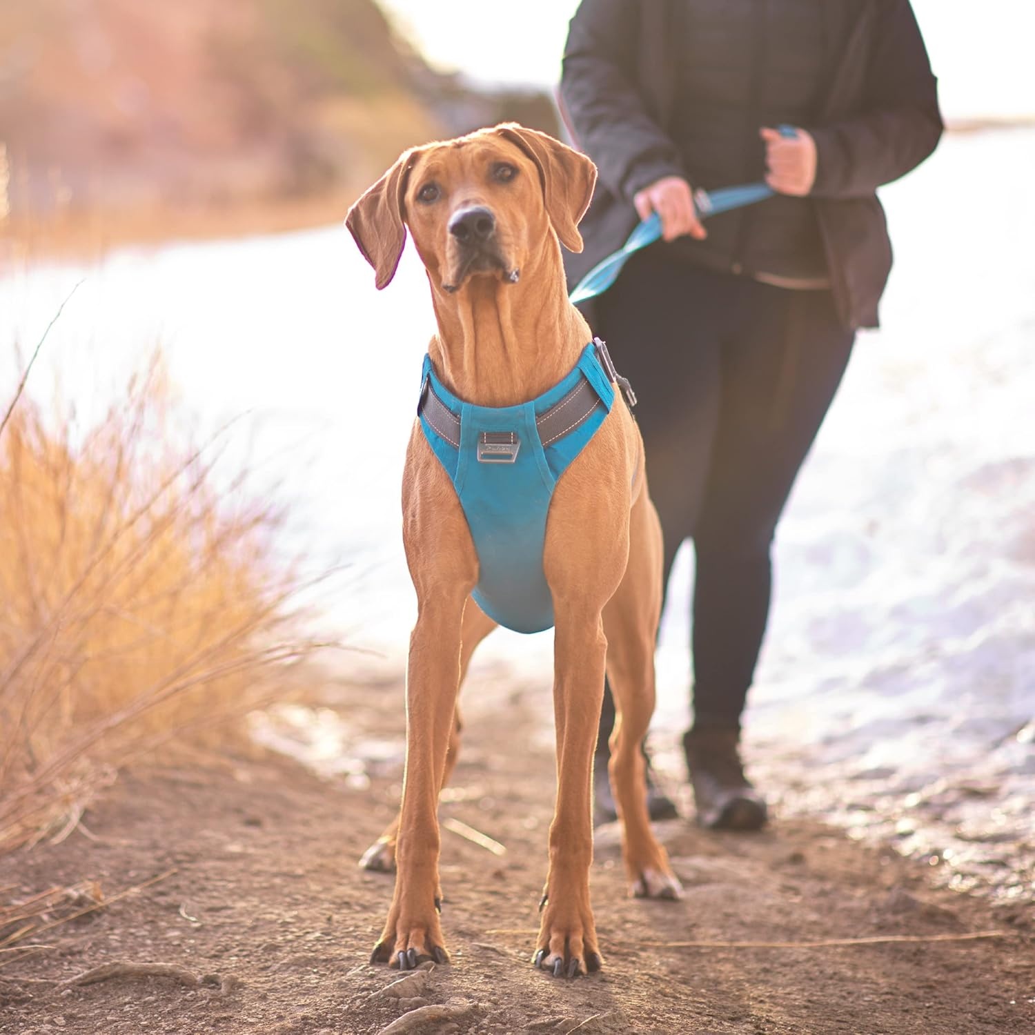 image:imageOutward Hound Boulder Grip Reflective Dog Leash Black 5 ftTurquoise