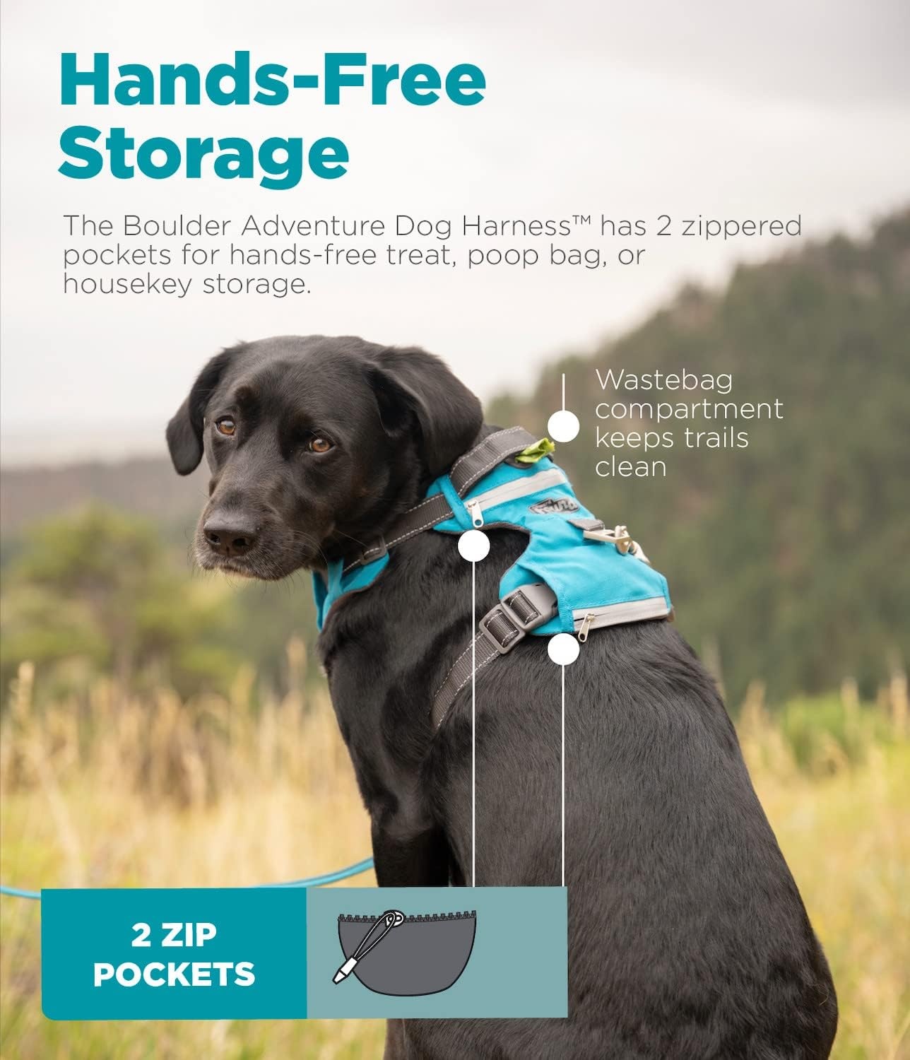 image:imageOutward Hound Boulder Grip Reflective Dog Leash Black 5 ftTurquoise