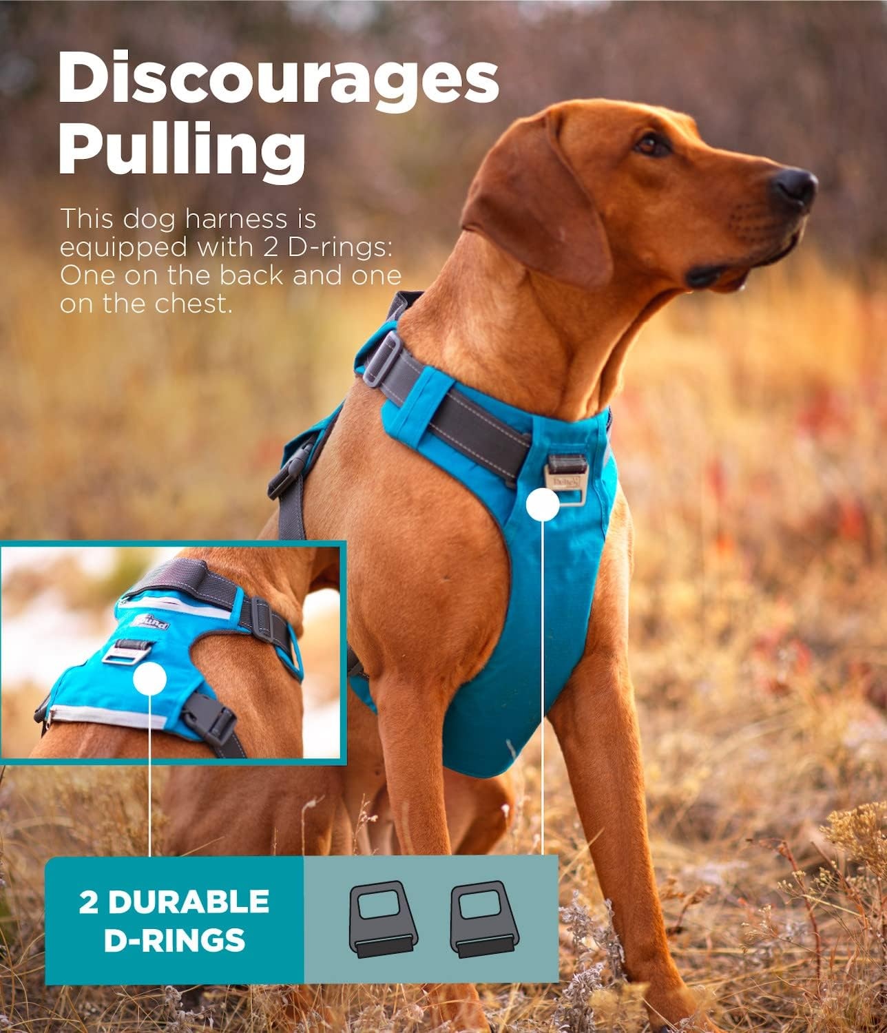 image:imageOutward Hound Boulder Grip Reflective Dog Leash Black 5 ftTurquoise
