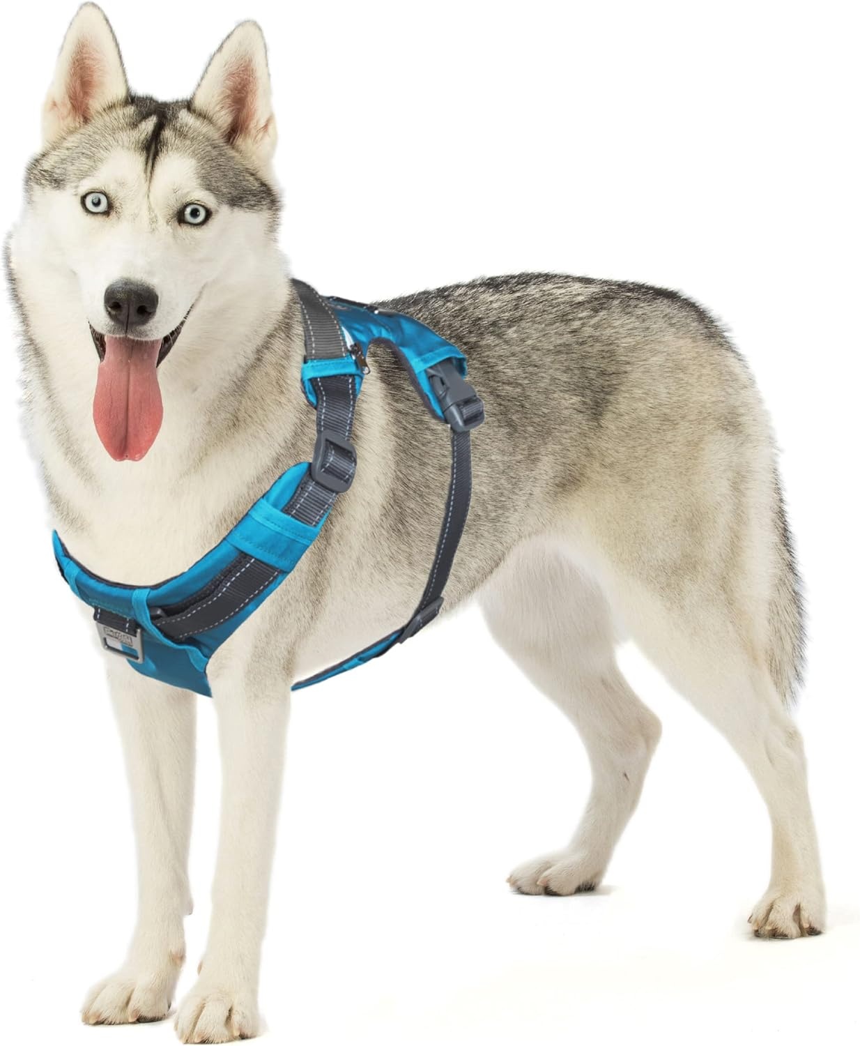 image:imageOutward Hound Boulder Grip Reflective Dog Leash Black 5 ftTurquoise