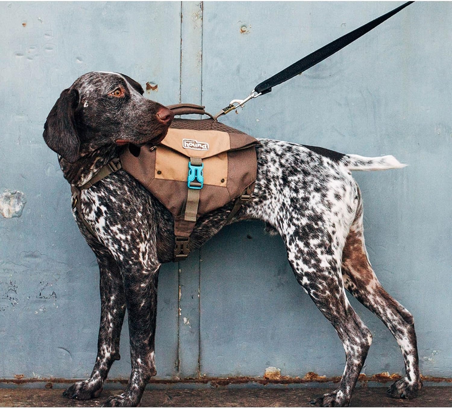 image:imageOutward Hound DayPak Green Dog Saddleback Backpack LargeBrown