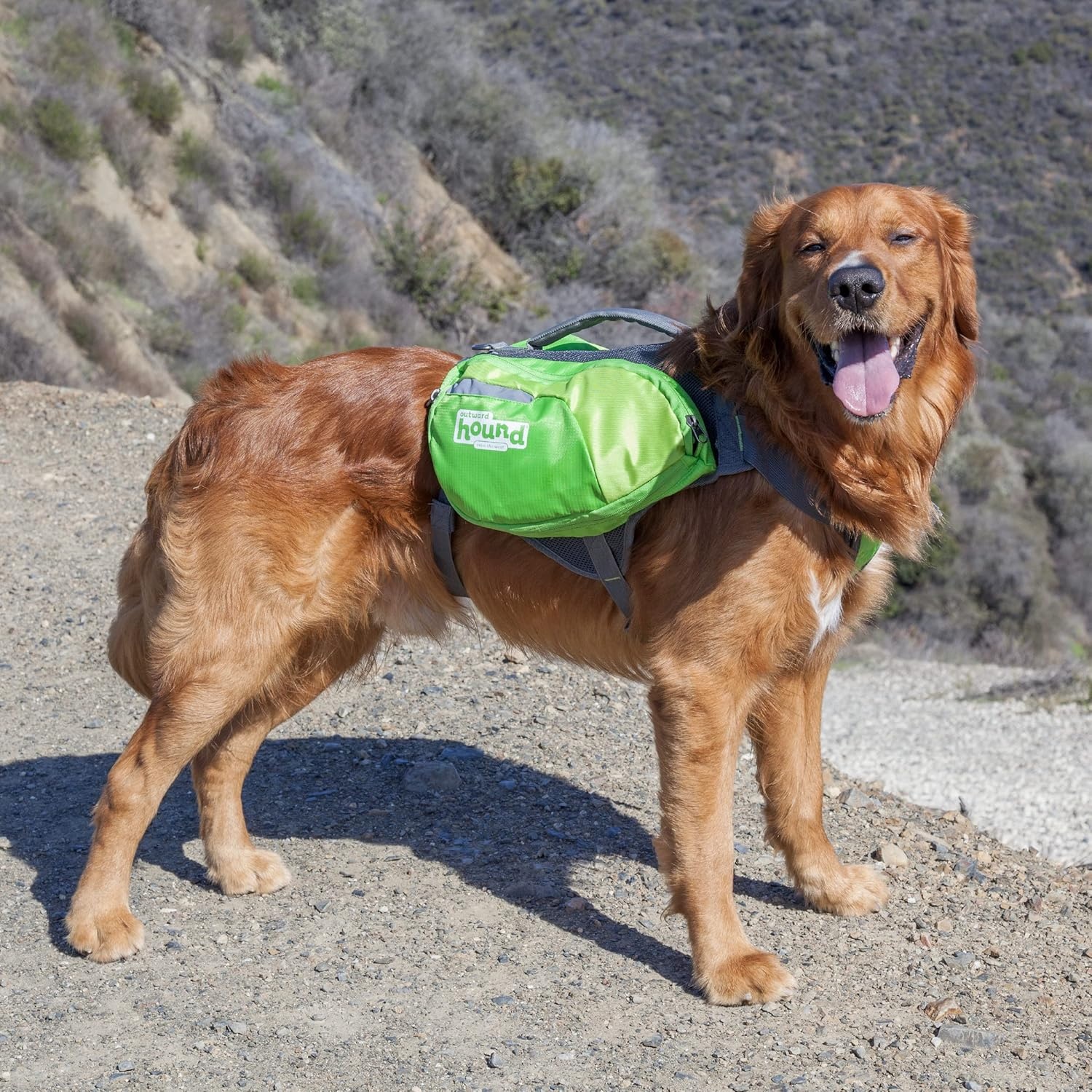 image:imageOutward Hound DayPak Green Dog Saddleback Backpack LargeGreen