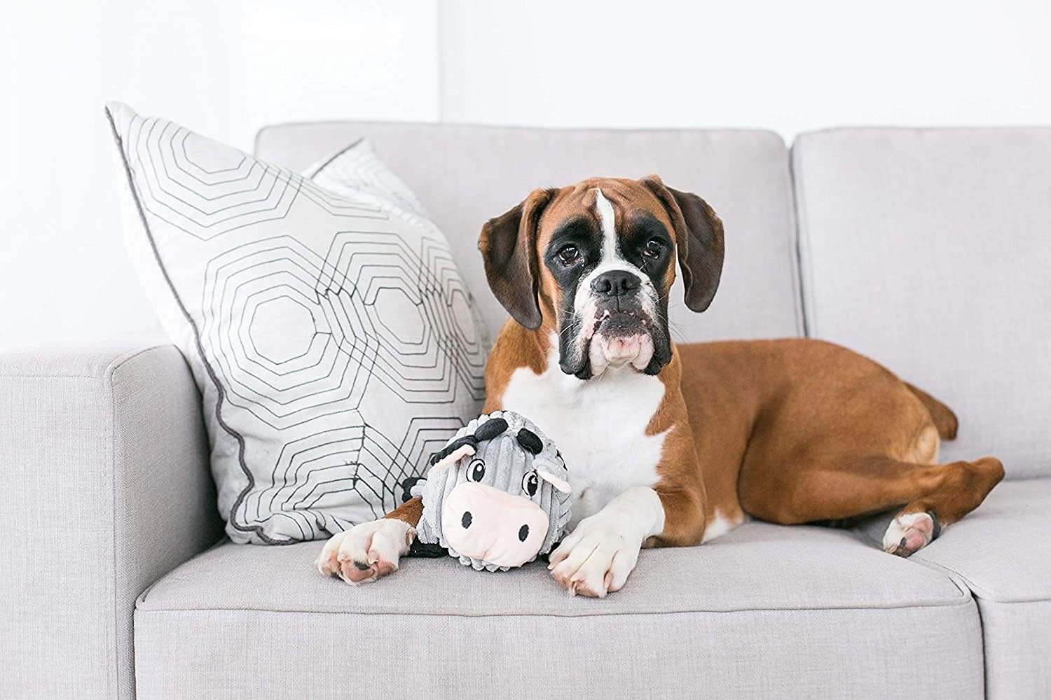 image:imageOutward Hound Fattiez Sheep Plush Squeaky Dog Toy MediumWhite Sheep