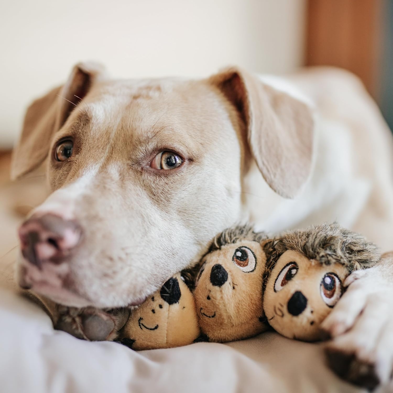 image:imageOutward Hound Hide A Llama Plush Dog Toy PuzzleHedgehog