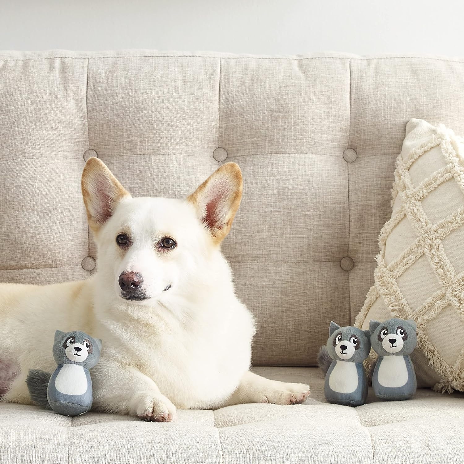 image:imageOutward Hound Hide A Llama Plush Dog Toy PuzzleRaccoon