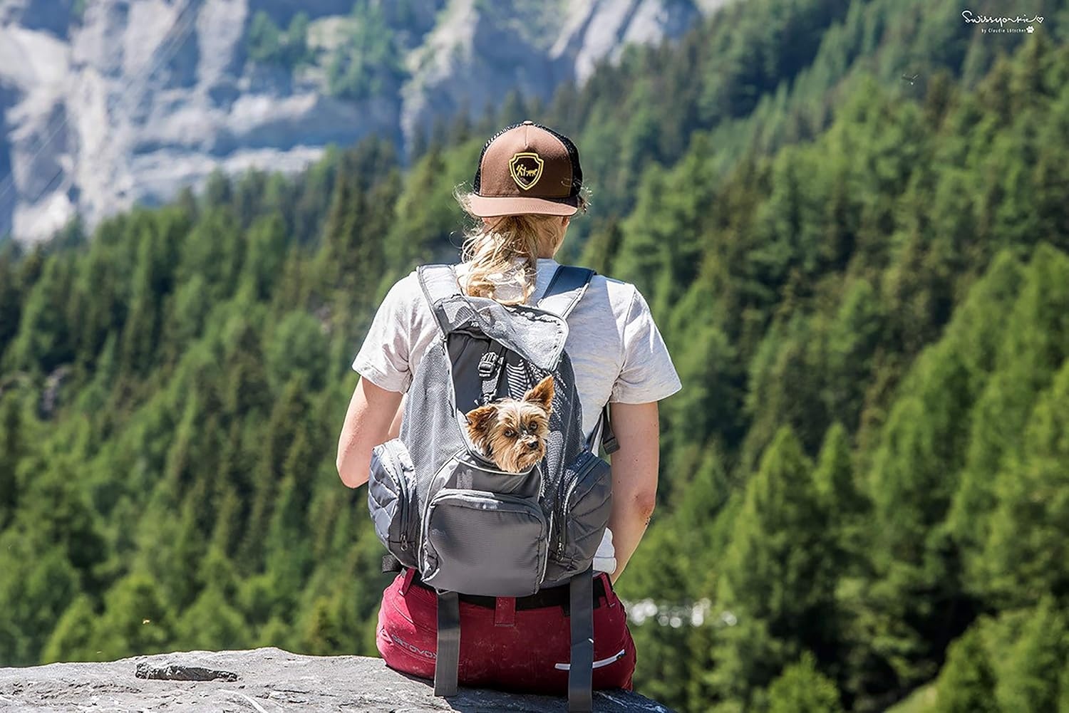 image:imageOutward Hound Poochpouch Backpack Small Dog Carrier Grey