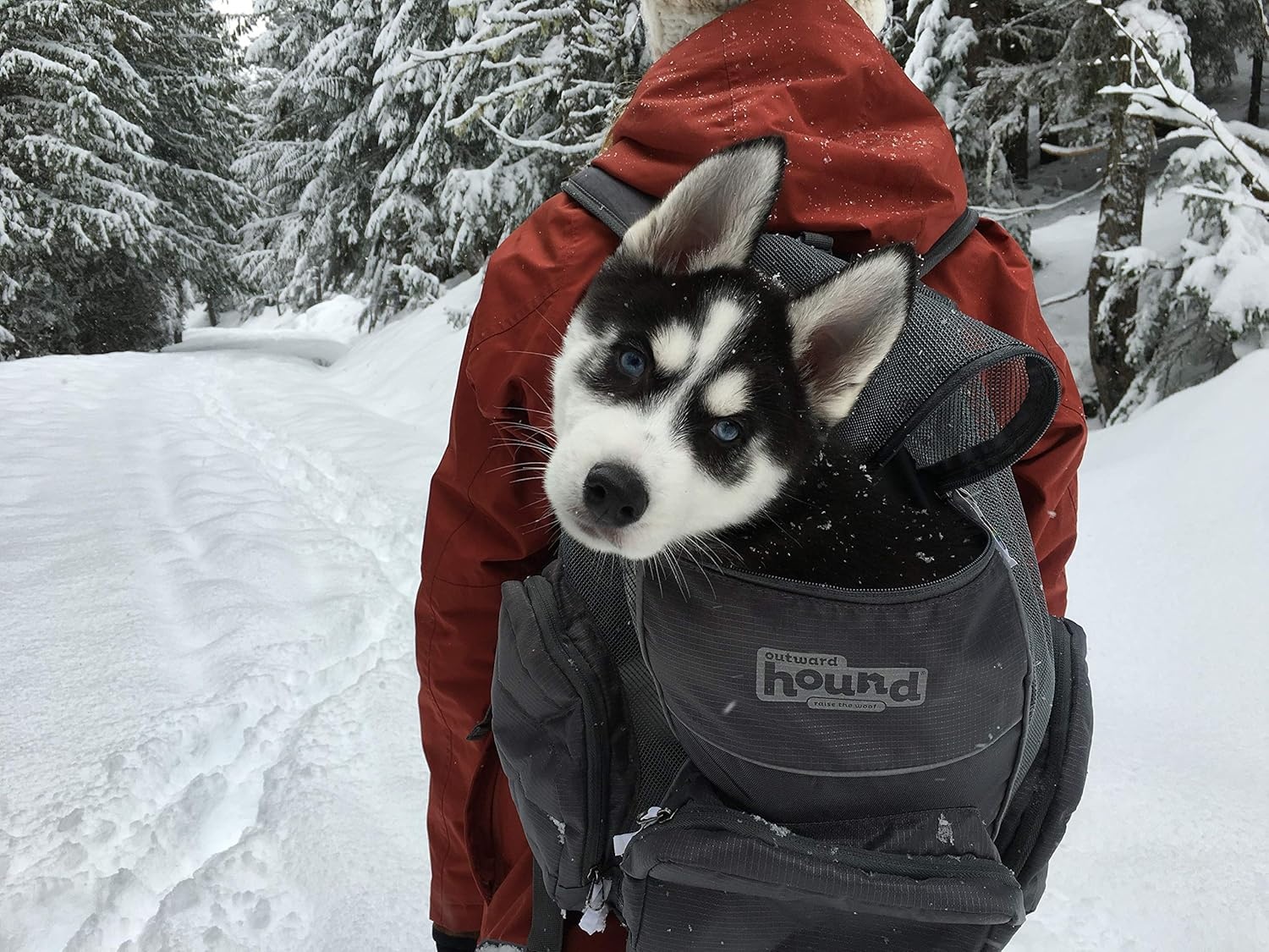 image:imageOutward Hound Poochpouch Backpack Small Dog Carrier Grey