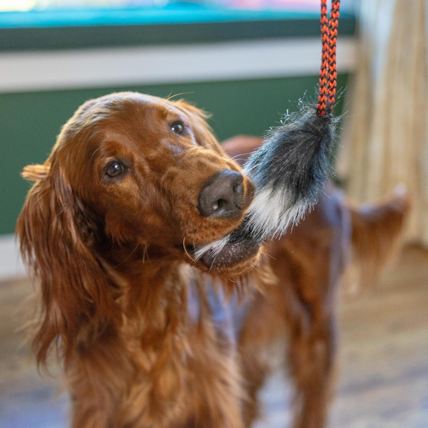image:imageOutward Hound Tail Teaser Replacement Lure for Dog Teaser Wand BeaverBlack