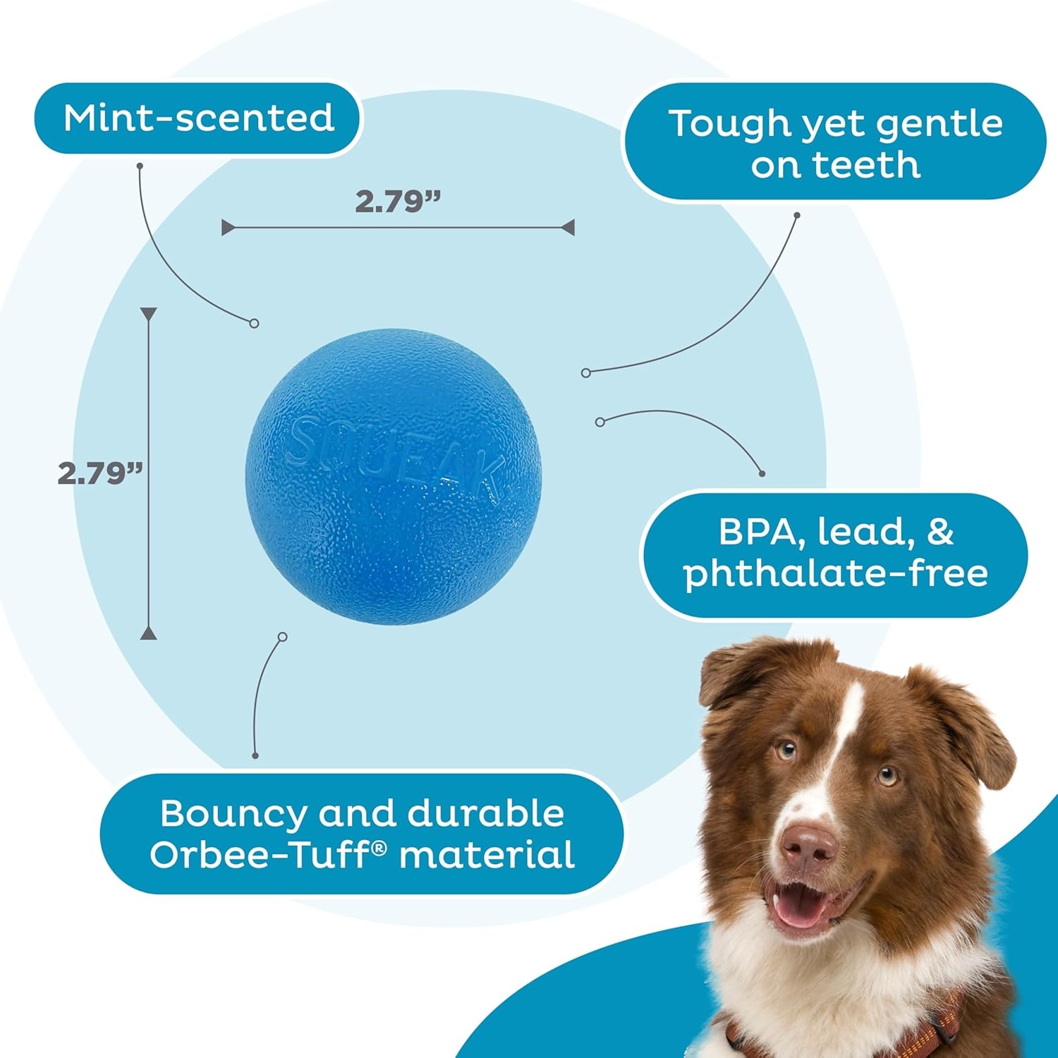 image:imageOutward Hound by Planet Dog Squeak Ball Bouncy Fetch Dog Toy OrangeBlue Squeak Toy