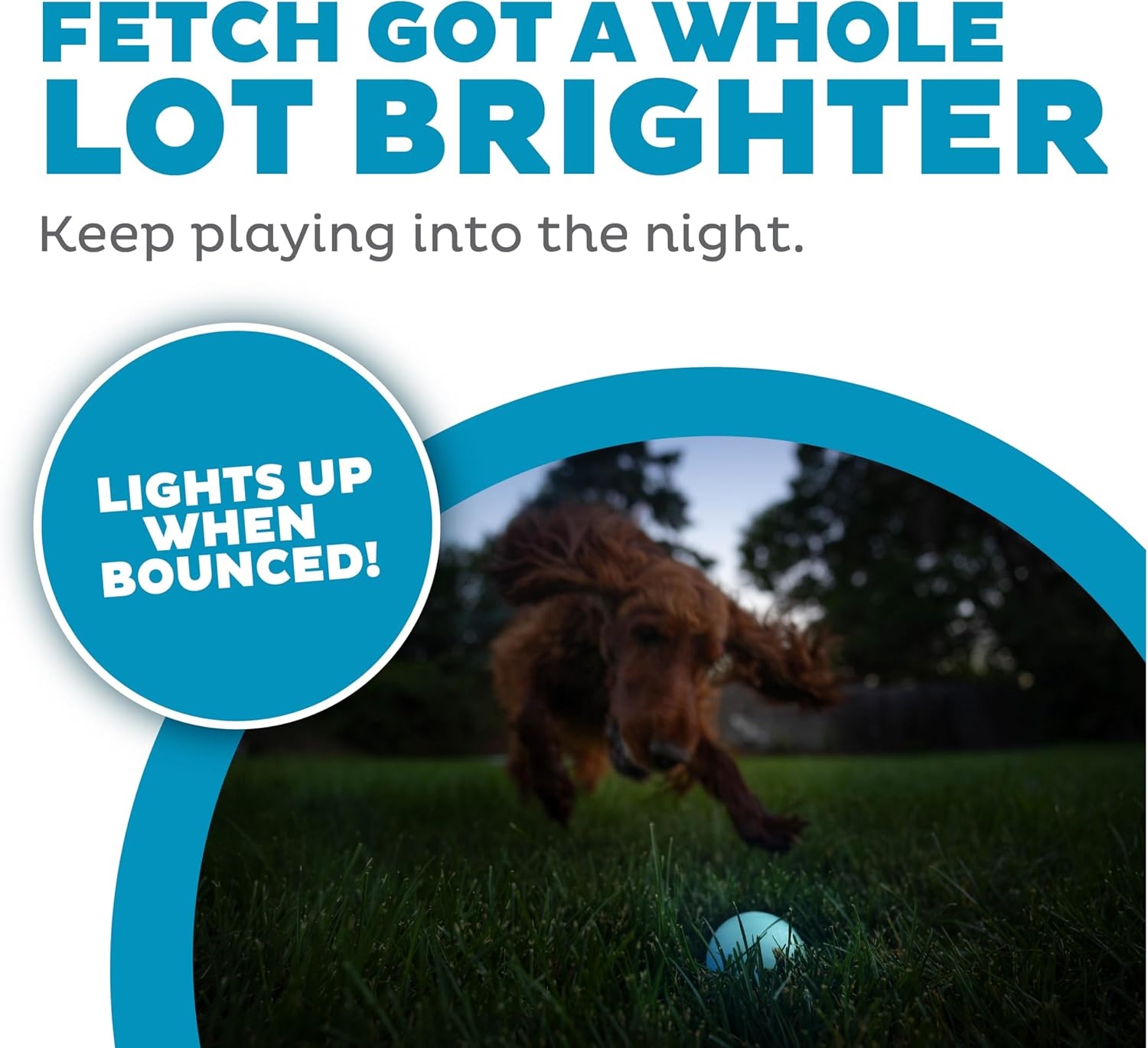 image:imageOutward Hound by Planet Dog Squeak Ball Bouncy Fetch Dog Toy OrangeBlue Strobe Toy