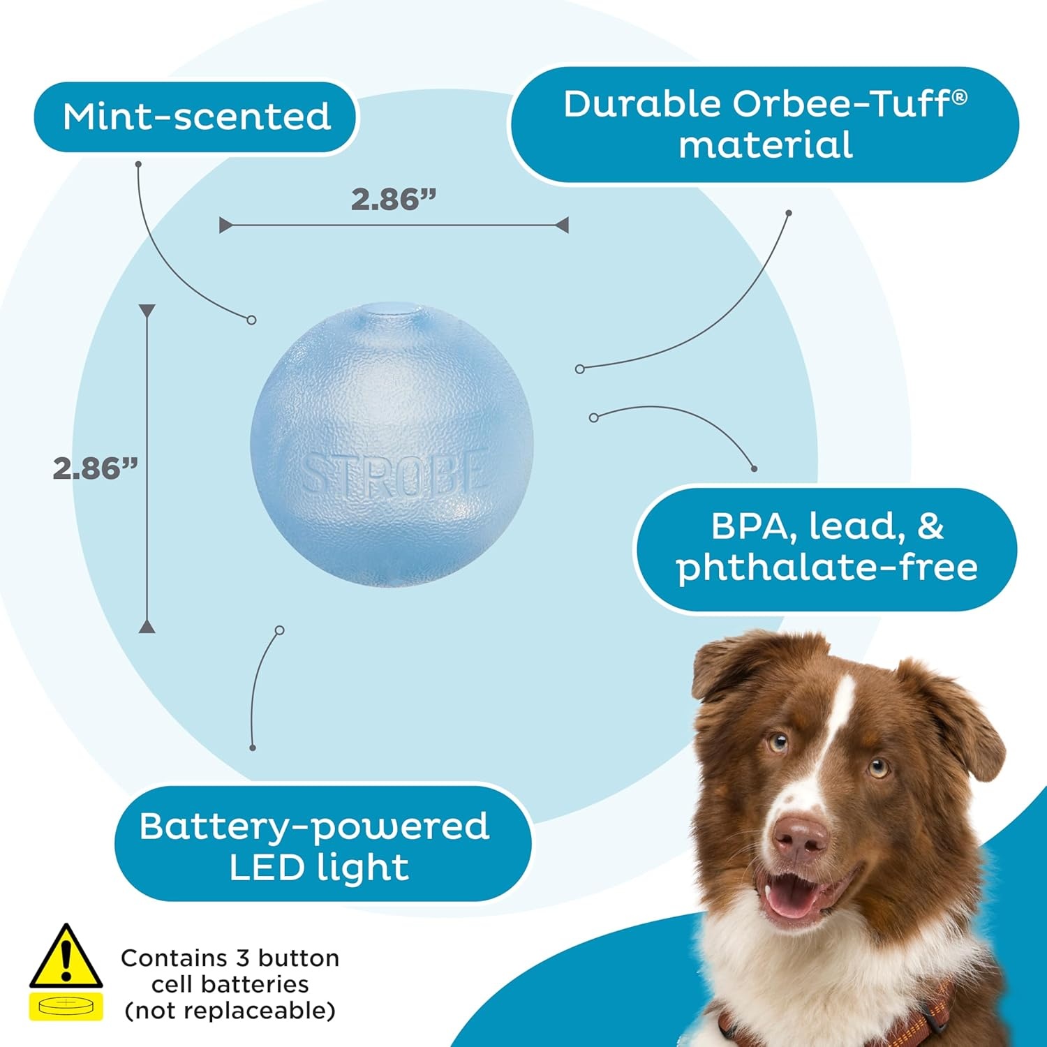 image:imageOutward Hound by Planet Dog Squeak Ball Bouncy Fetch Dog Toy OrangeBlue Strobe Toy