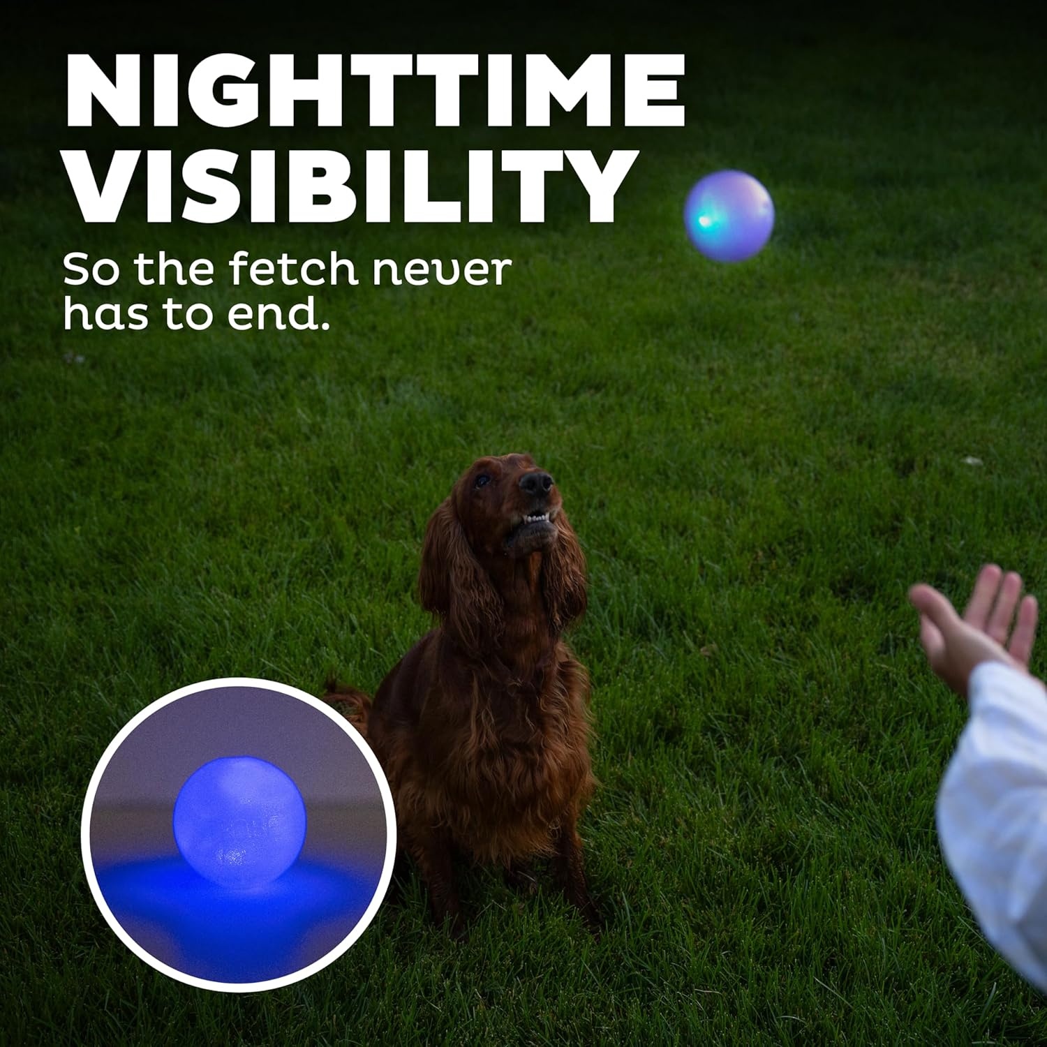 image:imageOutward Hound by Planet Dog Squeak Ball Bouncy Fetch Dog Toy OrangeBlue Strobe Toy