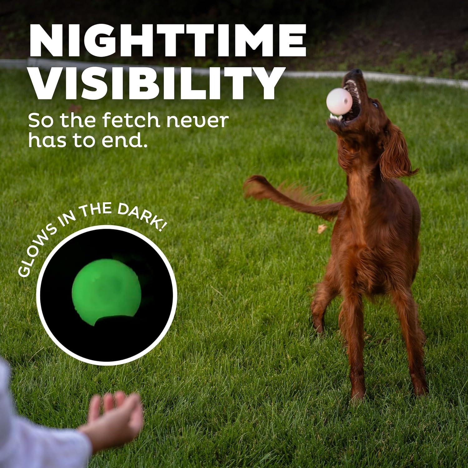 image:imageOutward Hound by Planet Dog Squeak Ball Bouncy Fetch Dog Toy OrangeGlow in the Dark Strobe Toy