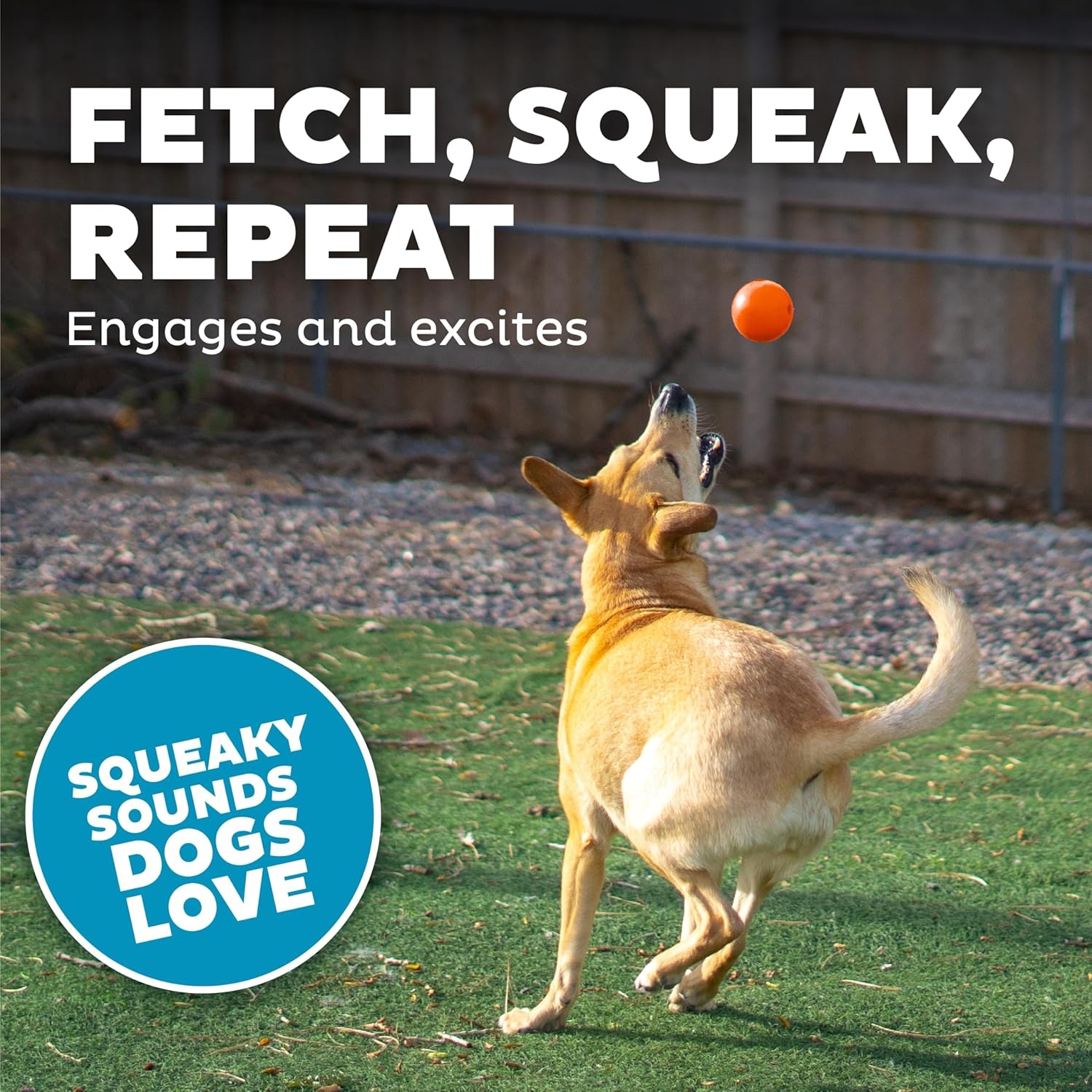 image:imageOutward Hound by Planet Dog Squeak Ball Bouncy Fetch Dog Toy OrangeOrange Squeak Toy