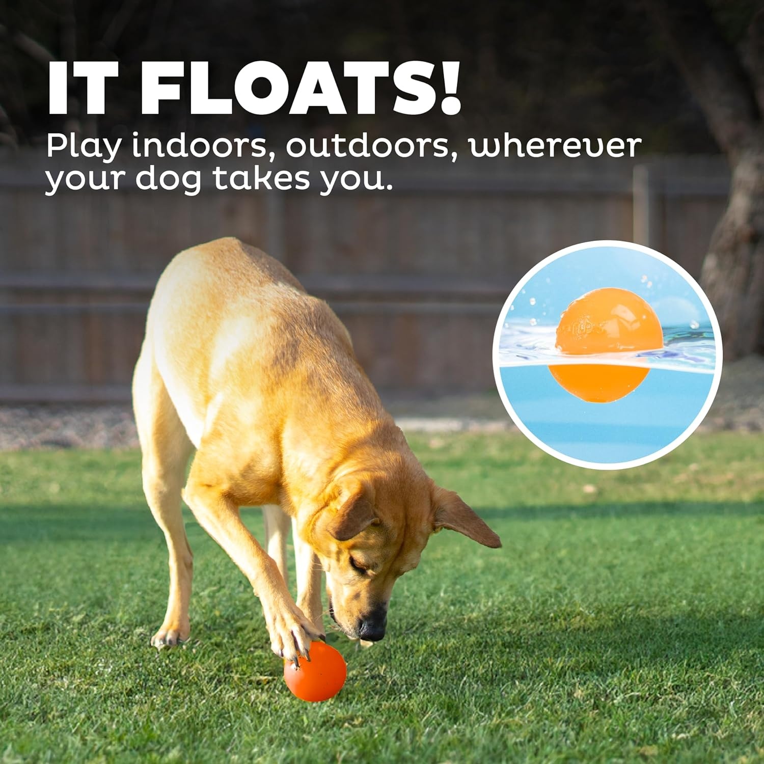 image:imageOutward Hound by Planet Dog Squeak Ball Bouncy Fetch Dog Toy OrangeOrange Squeak Toy