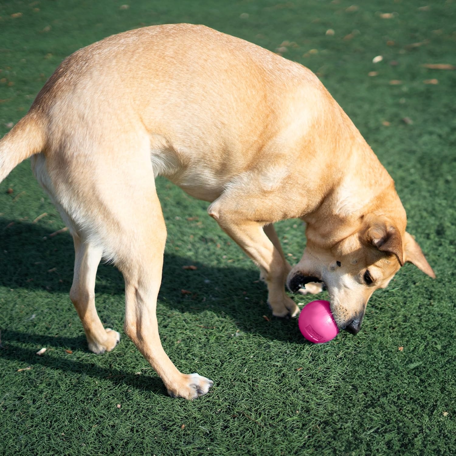 image:imageOutward Hound by Planet Dog Squeak Ball Bouncy Fetch Dog Toy OrangePink Squeak Toy